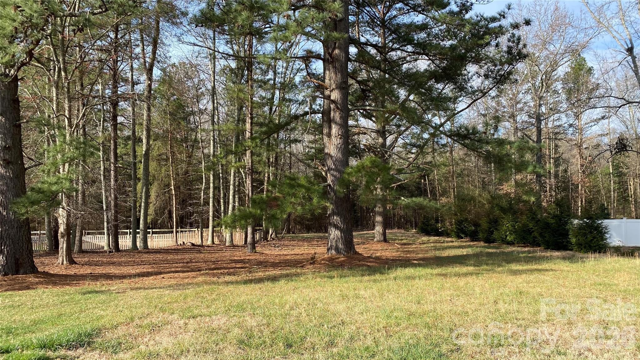 3535 Mintwood Drive Property Photo 2