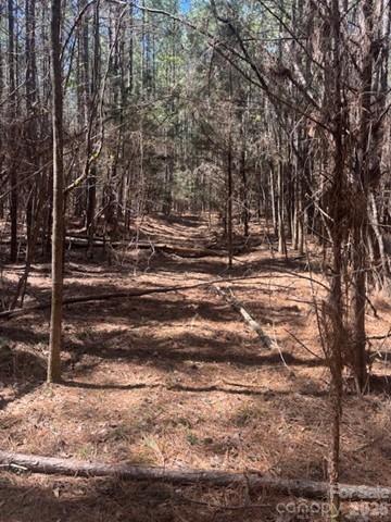 312 Pine Grove Road Property Photo 1