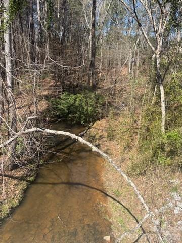 312 Pine Grove Road Property Photo 2