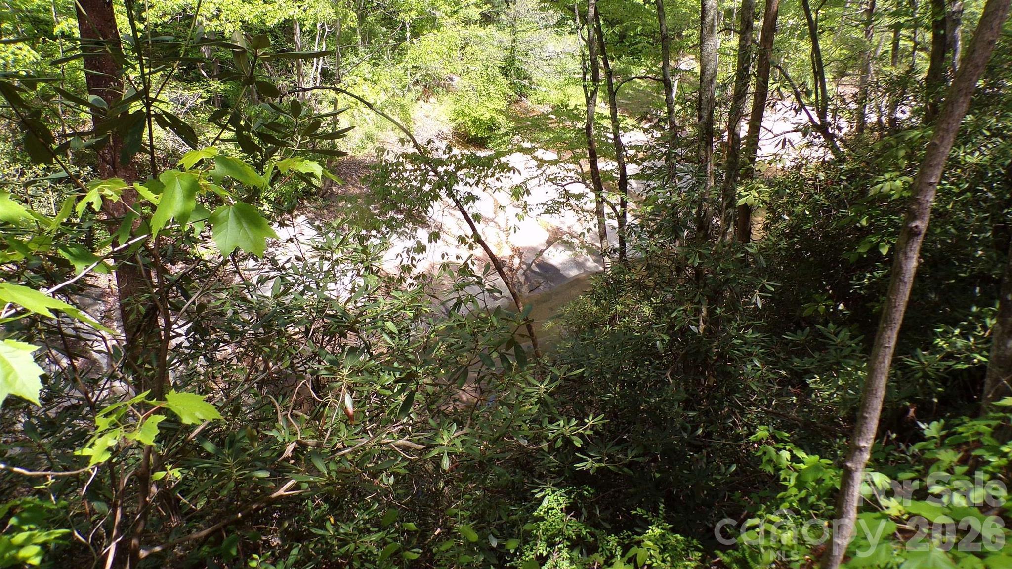 216 Paradise Road Property Photo 21