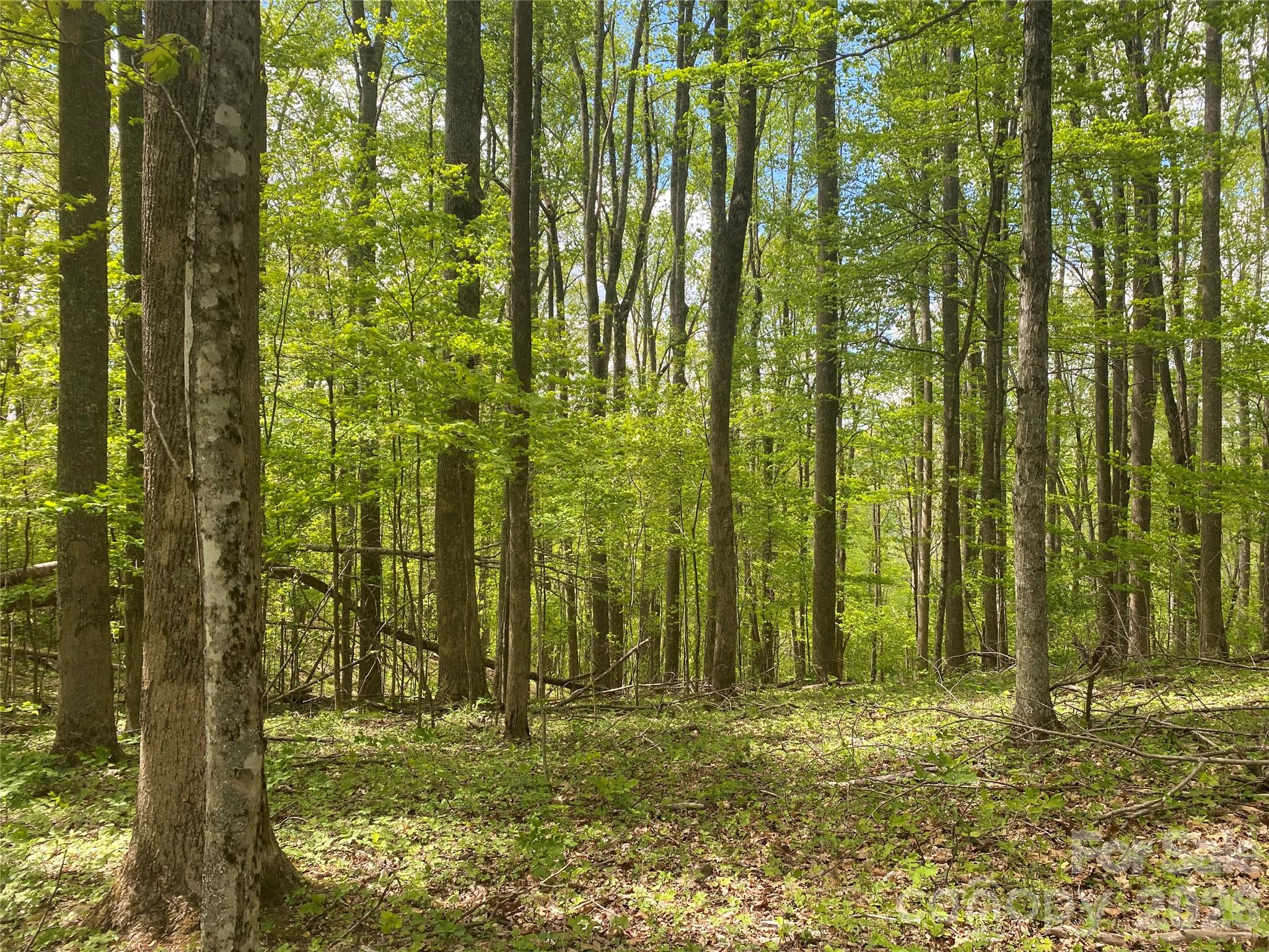 Tbd Us 23 Highway Property Photo 1