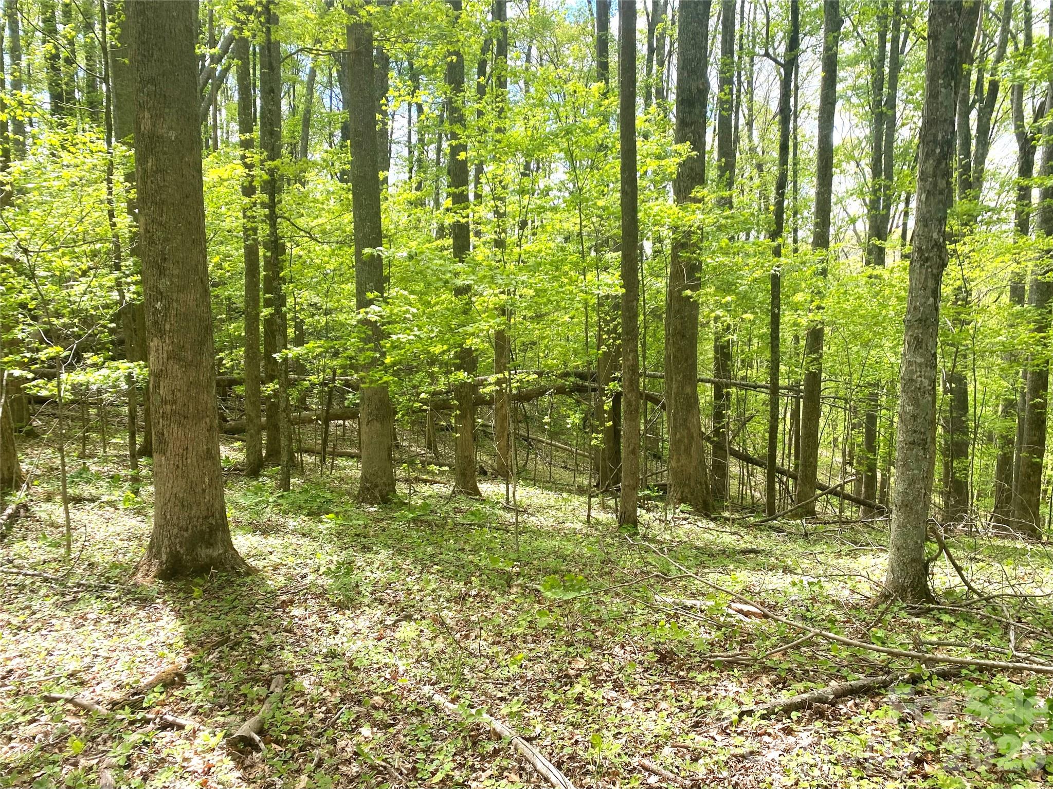 Tbd Us 23 Highway Property Photo 2