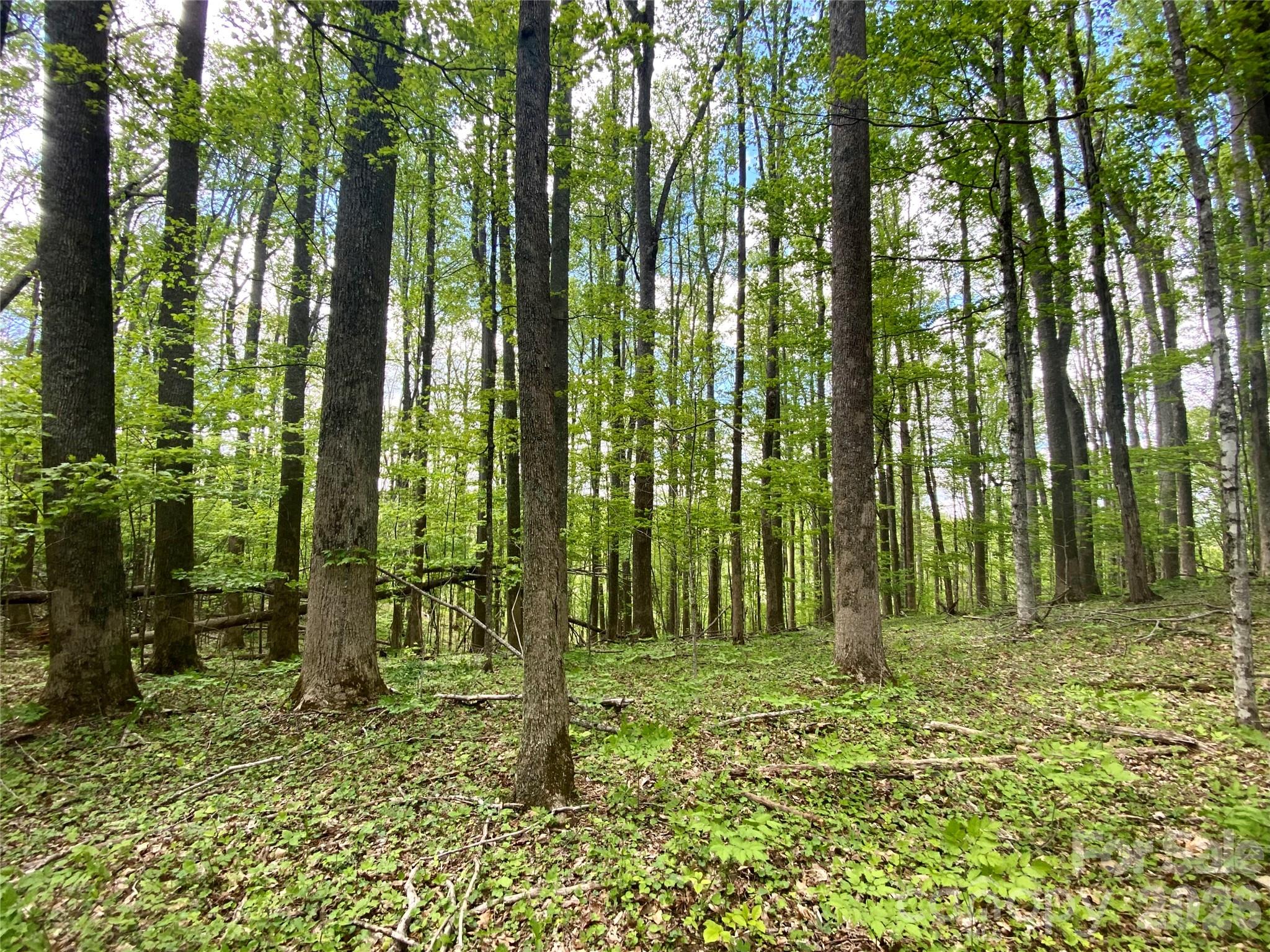 Tbd Us 23 Highway Property Photo 3