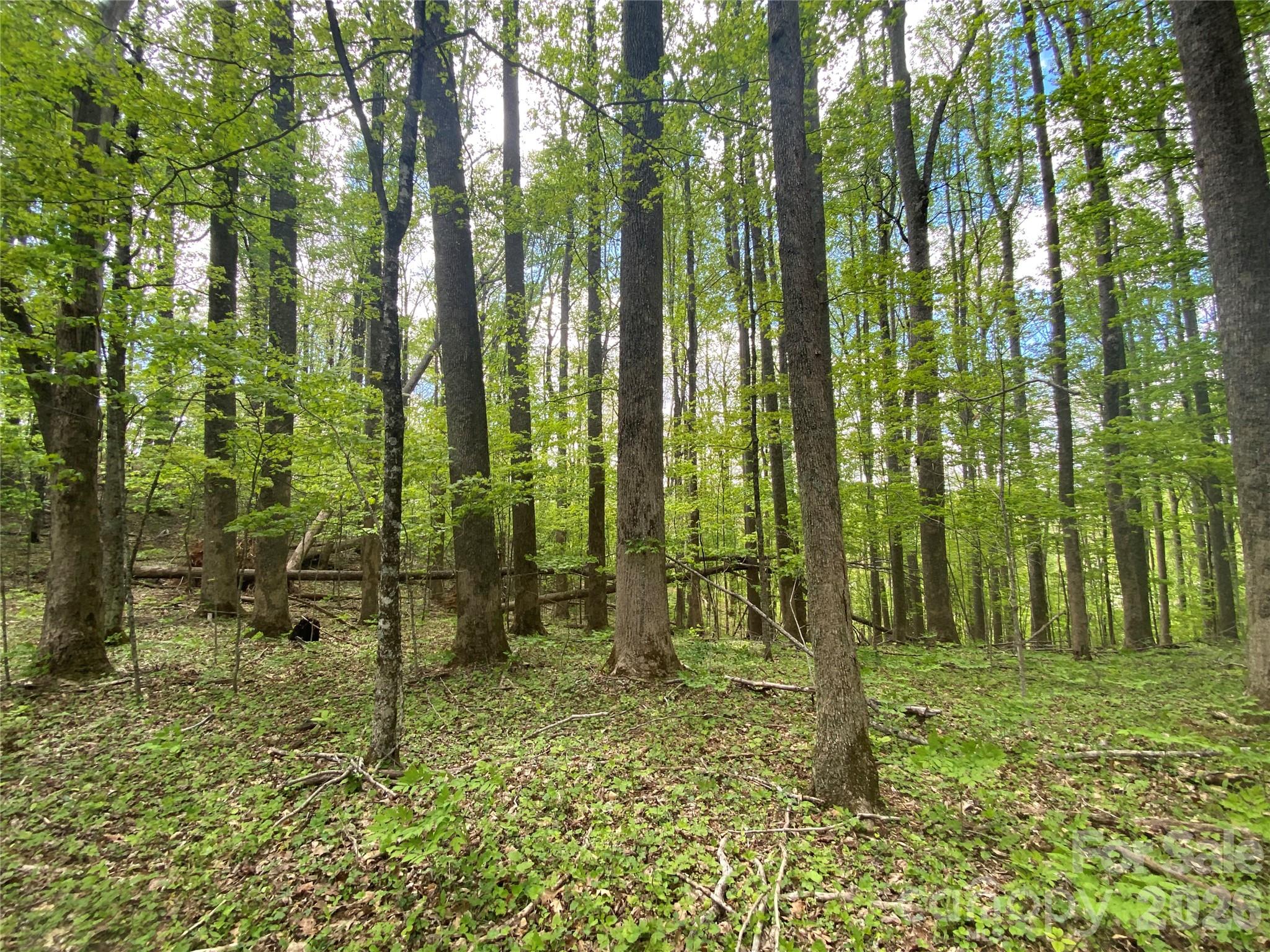 Tbd Us 23 Highway Property Photo 4