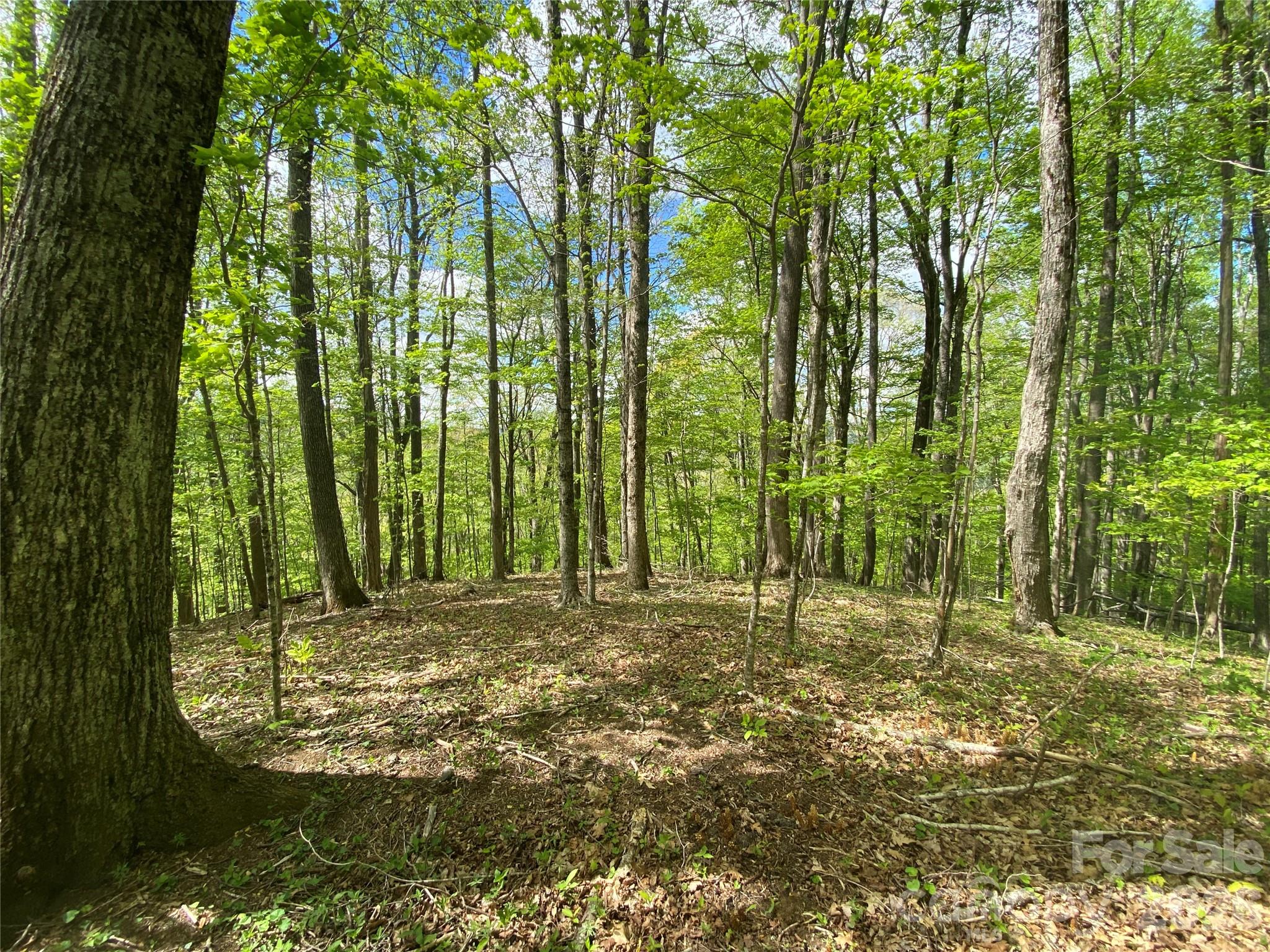 Tbd Us 23 Highway Property Photo 5