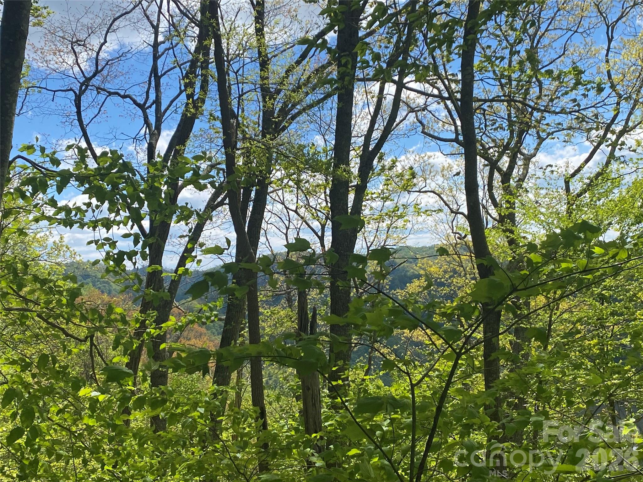 Tbd Us 23 Highway Property Photo 6