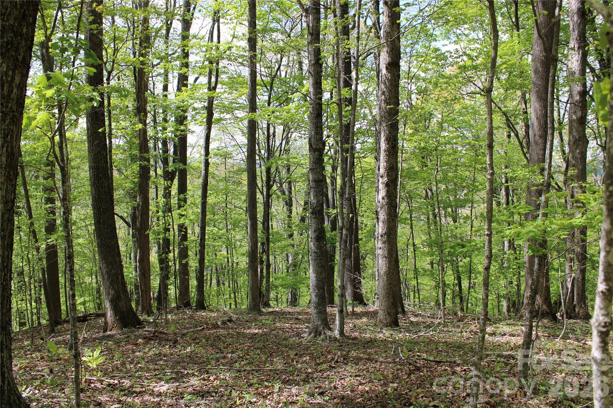 Tbd Us 23 Highway Property Photo 7