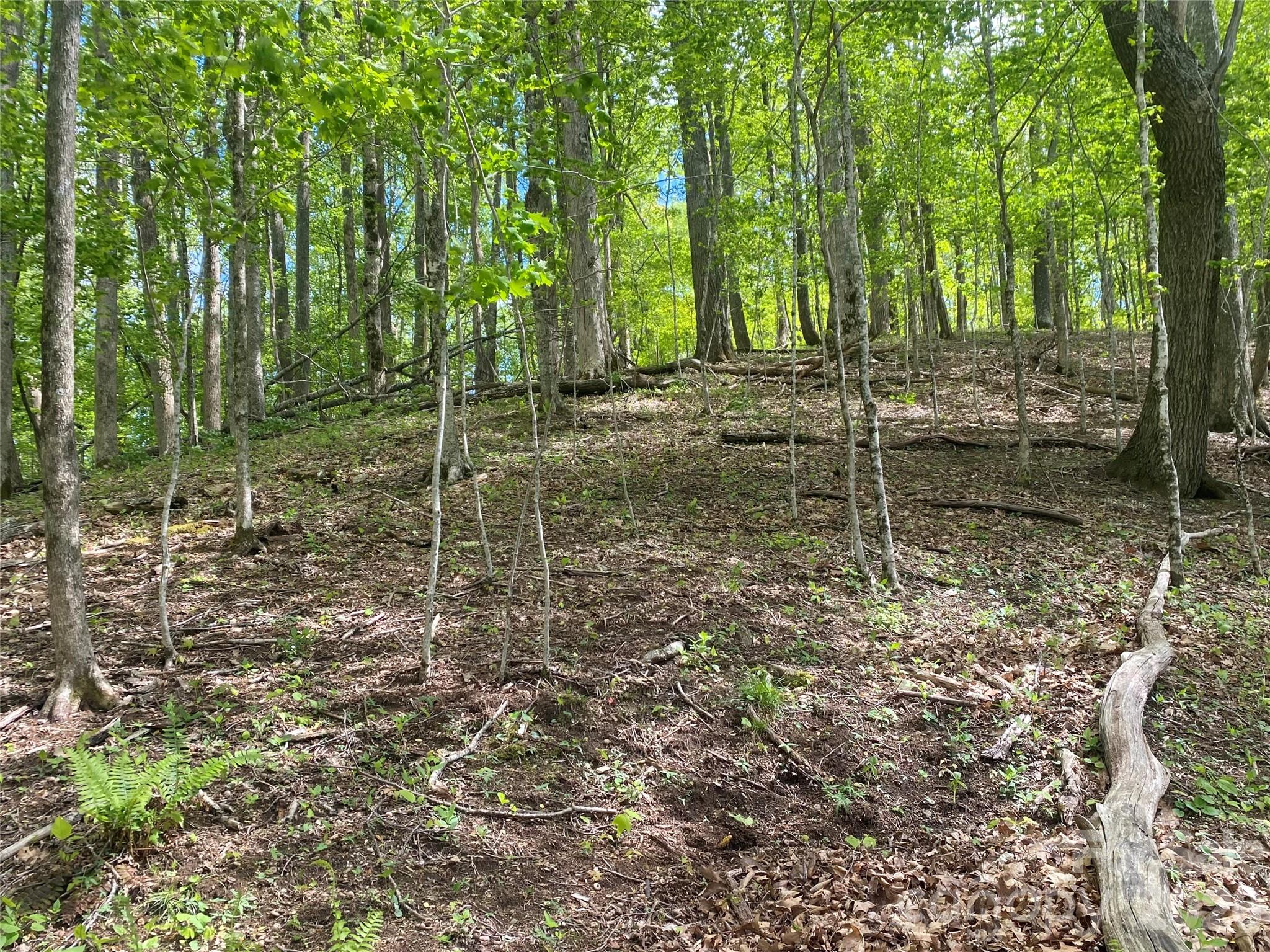 Tbd Us 23 Highway Property Photo 8