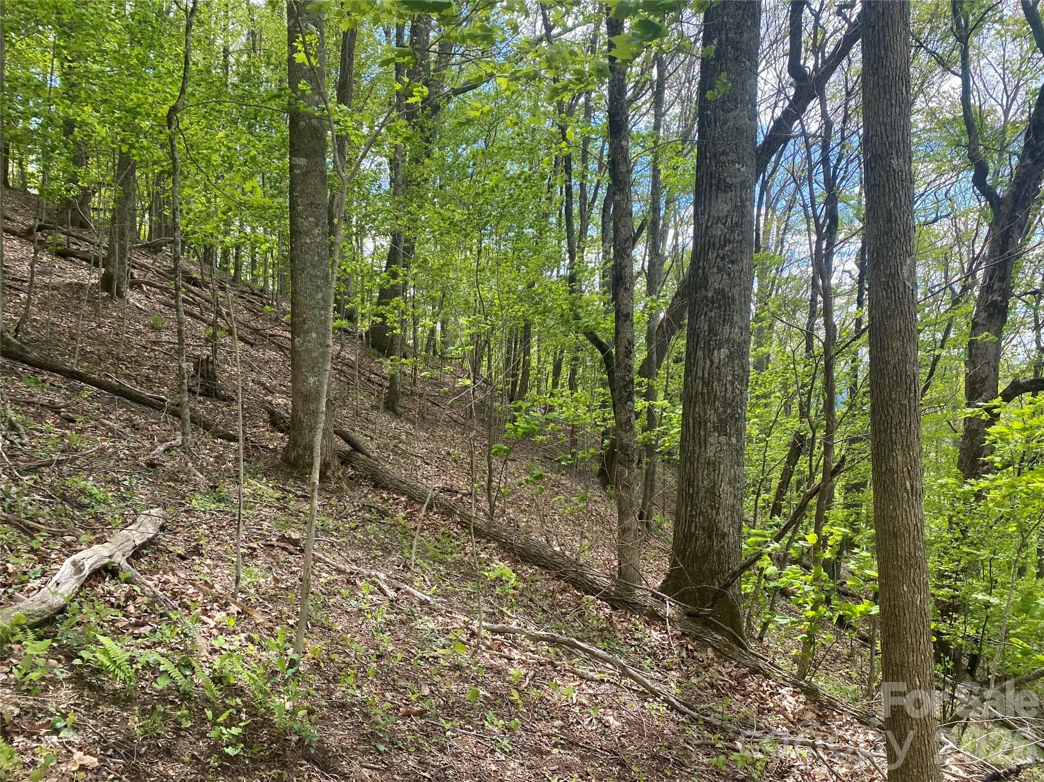 Tbd Us 23 Highway Property Photo 9