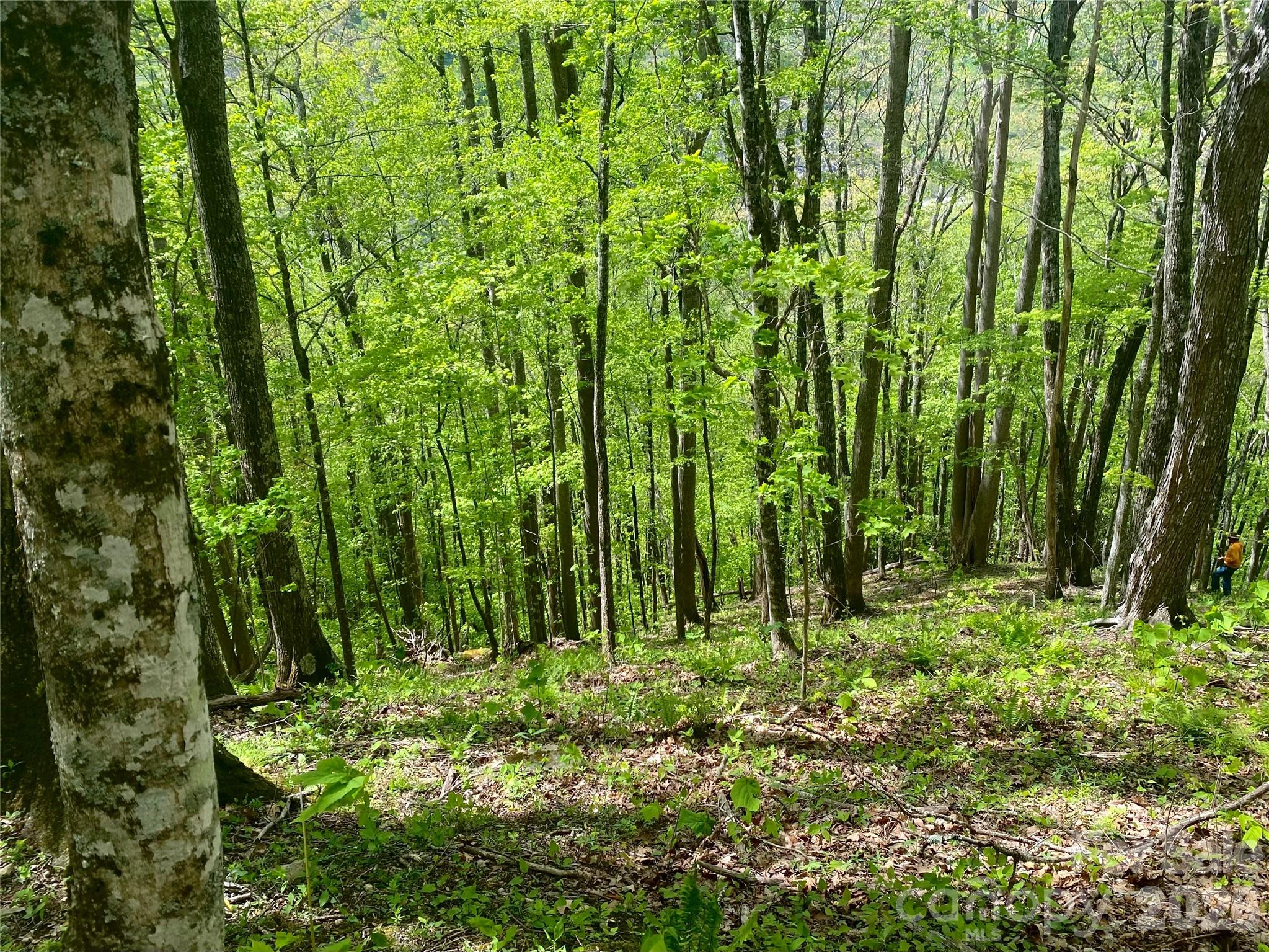 Tbd Us 23 Highway Property Photo 10