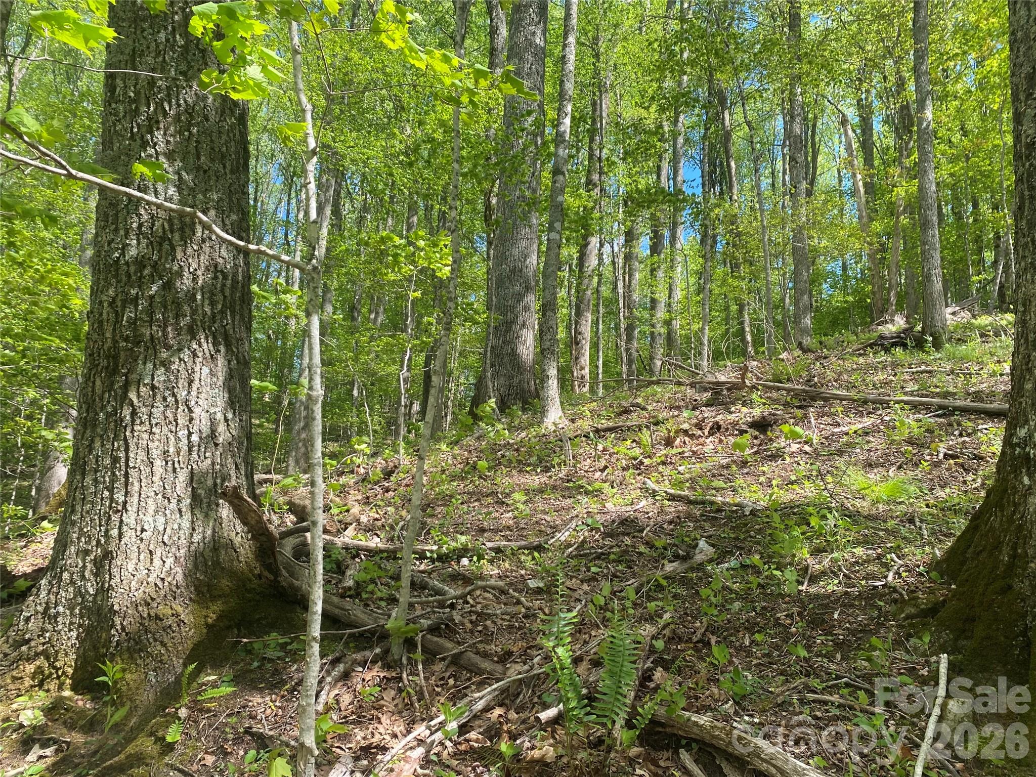 Tbd Us 23 Highway Property Photo 11