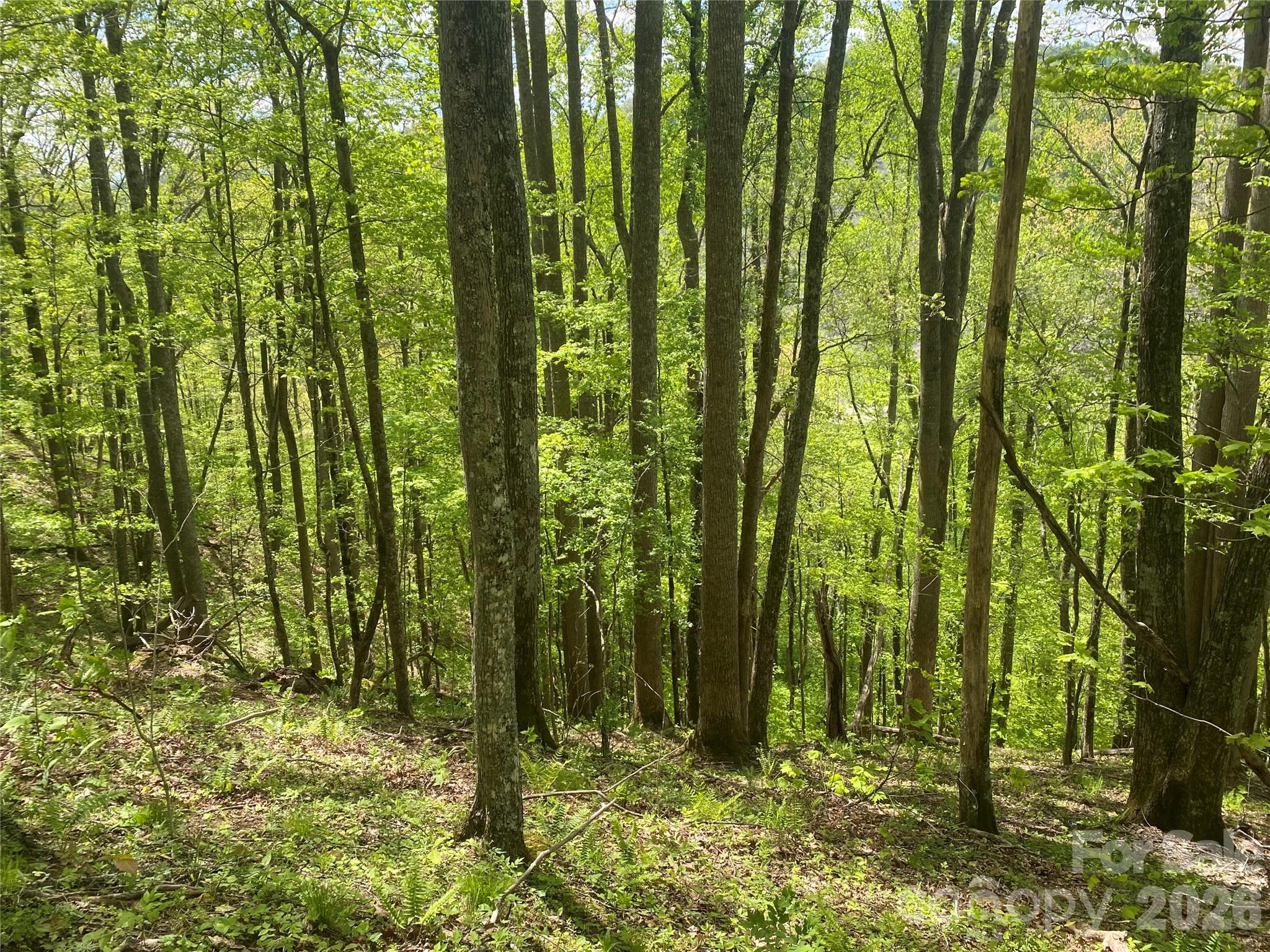 Tbd Us 23 Highway Property Photo 13