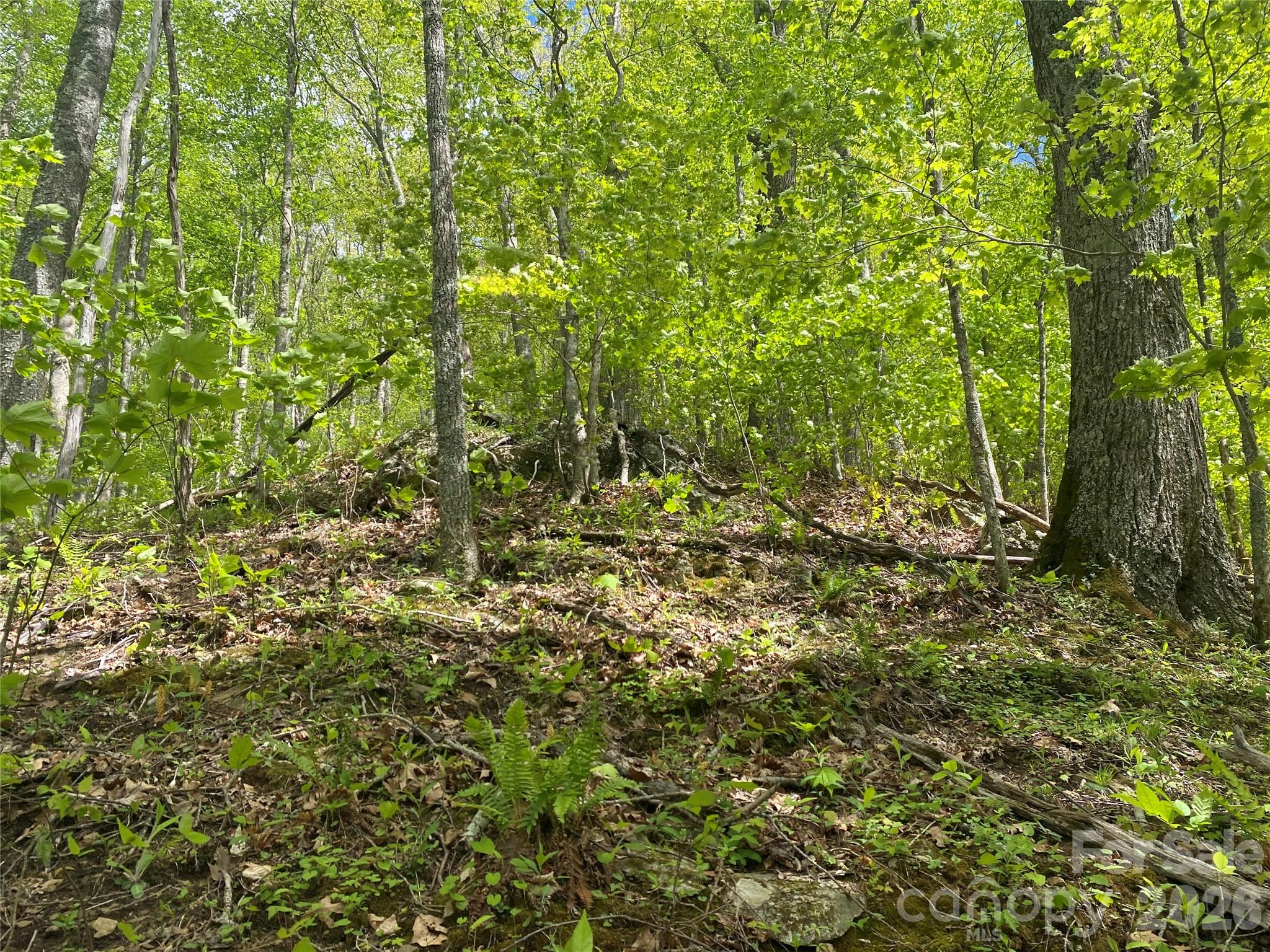 Tbd Us 23 Highway Property Photo 14