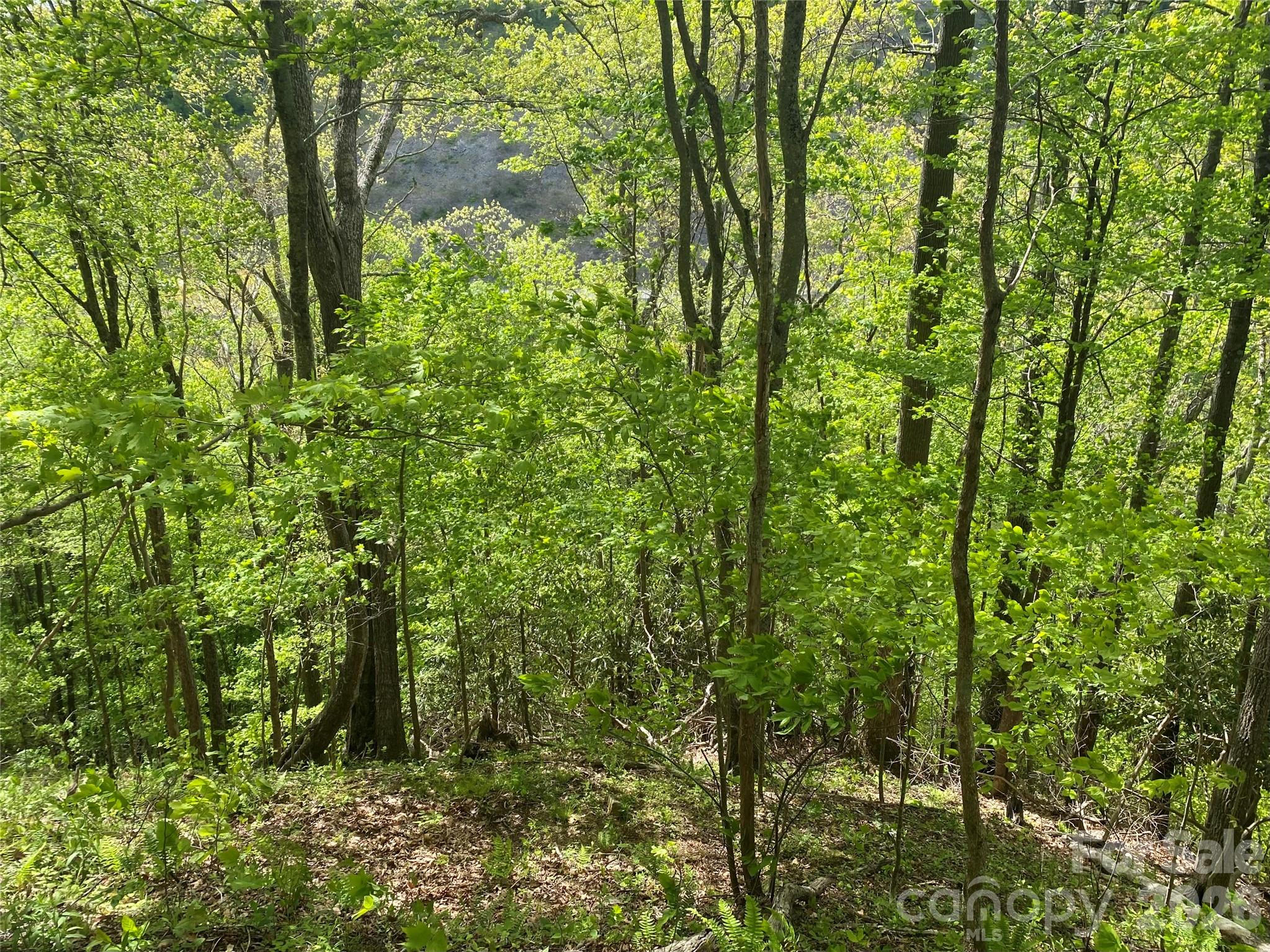 Tbd Us 23 Highway Property Photo 15