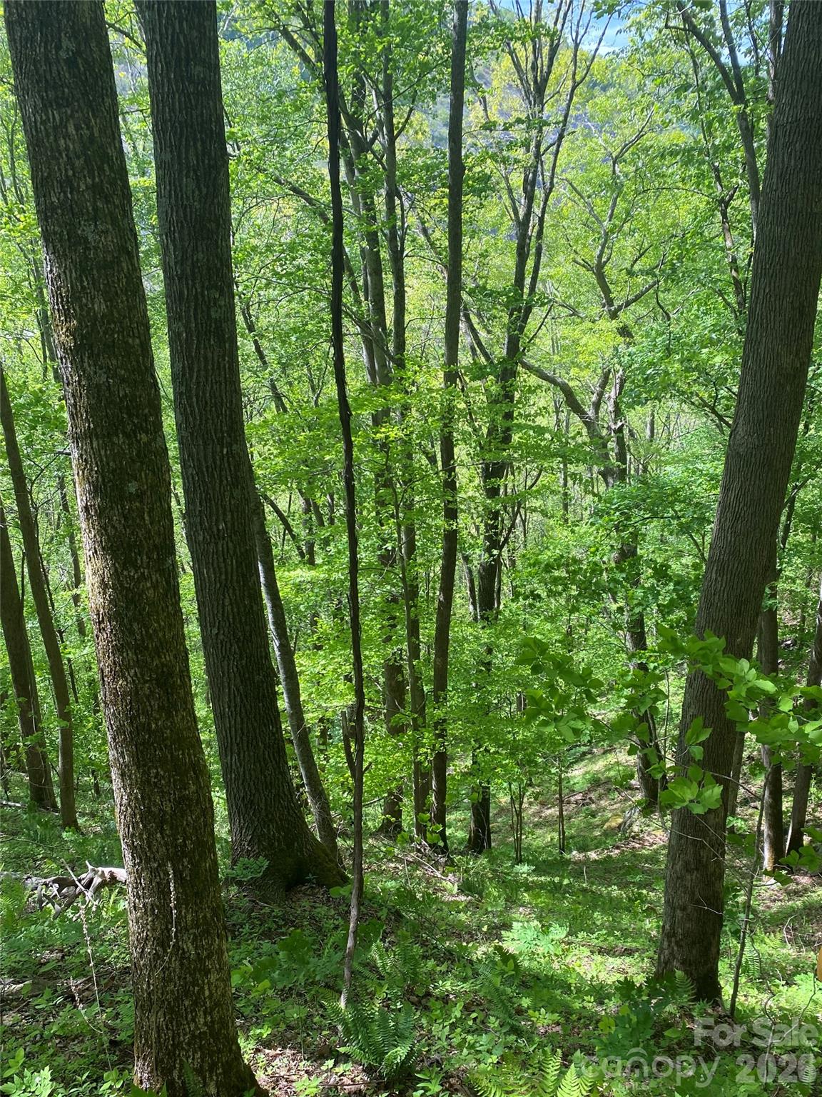 Tbd Us 23 Highway Property Photo 17