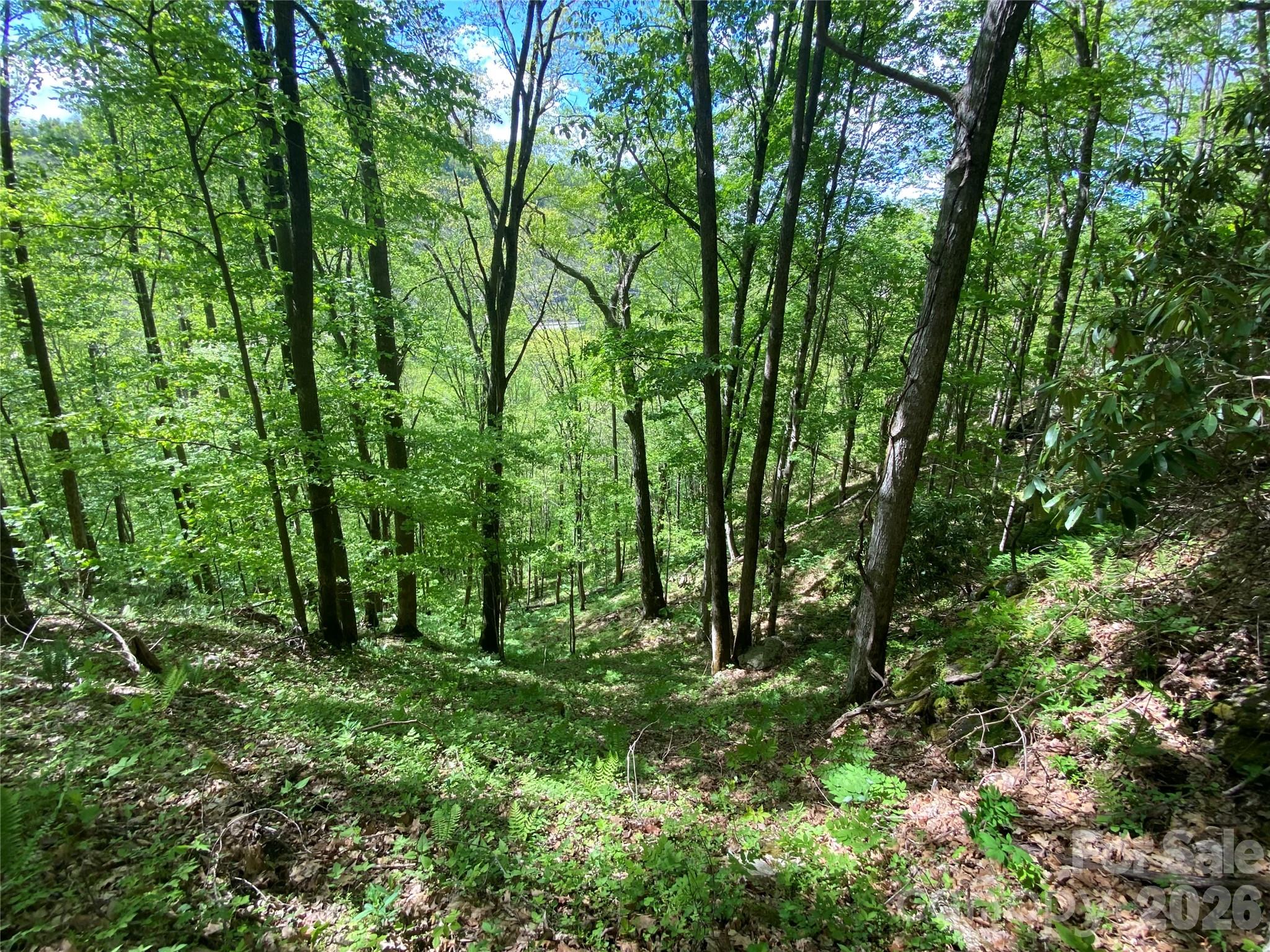 Tbd Us 23 Highway Property Photo 18