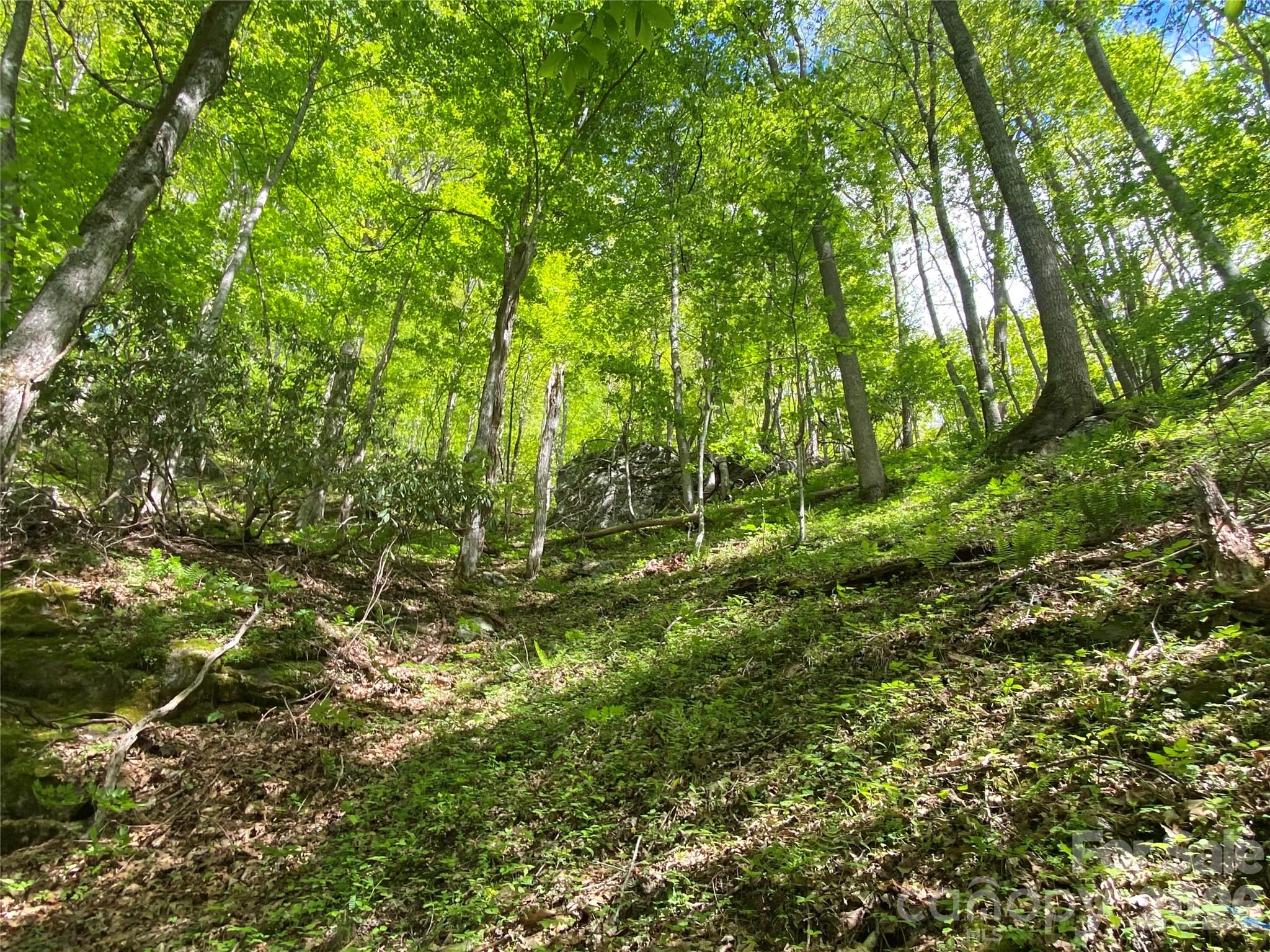 Tbd Us 23 Highway Property Photo 20