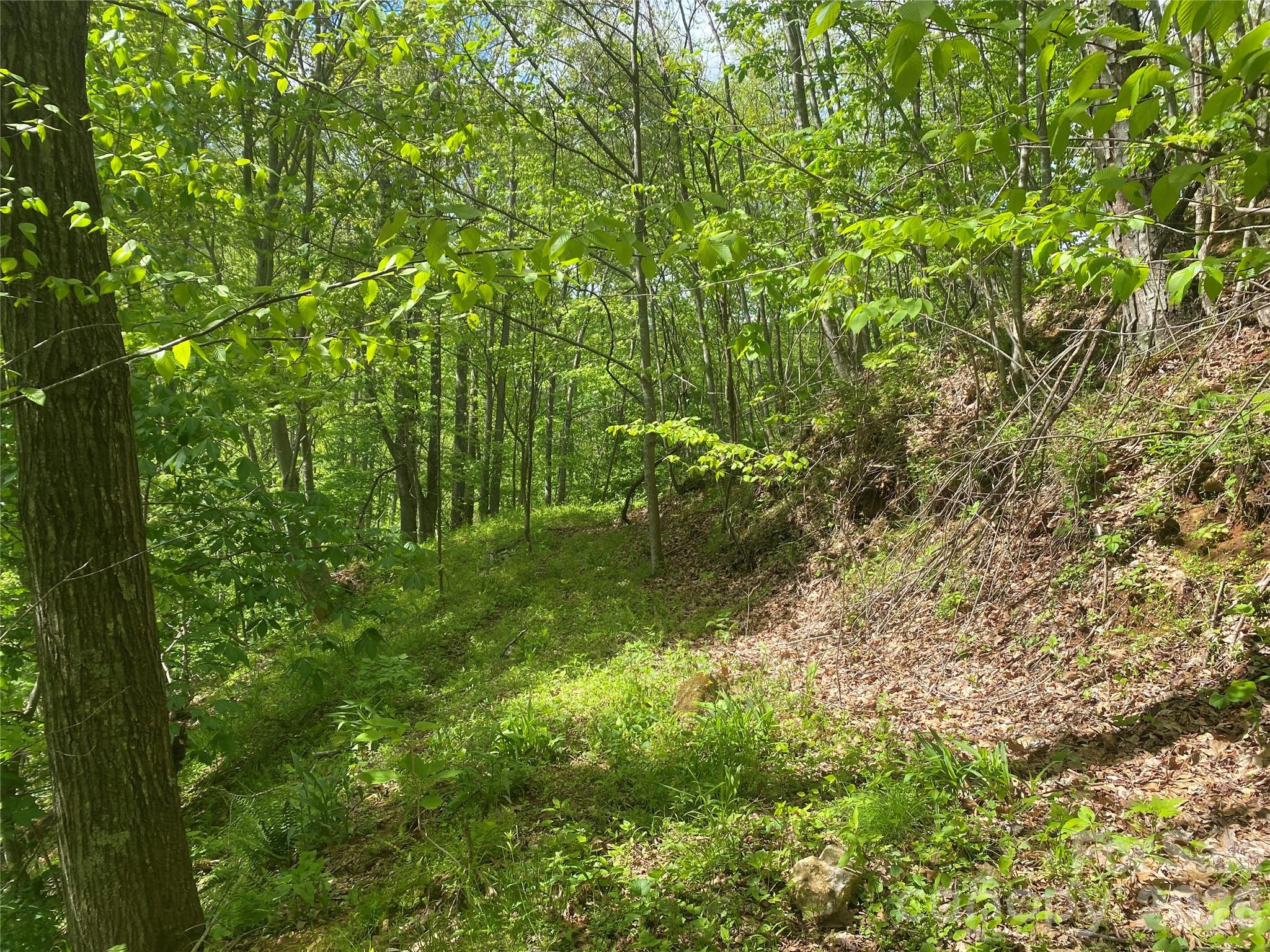 Tbd Us 23 Highway Property Photo 21