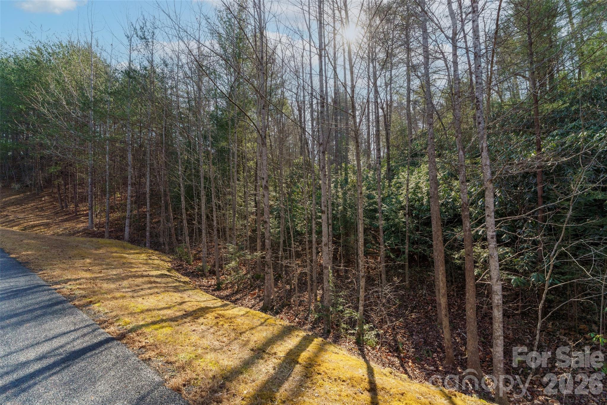 265 Harborside Drive 250 Property Photo 3