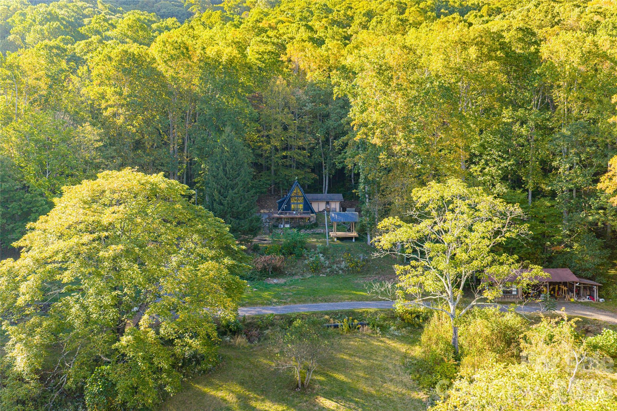 360 Banjo Branch Road Property Photo 3