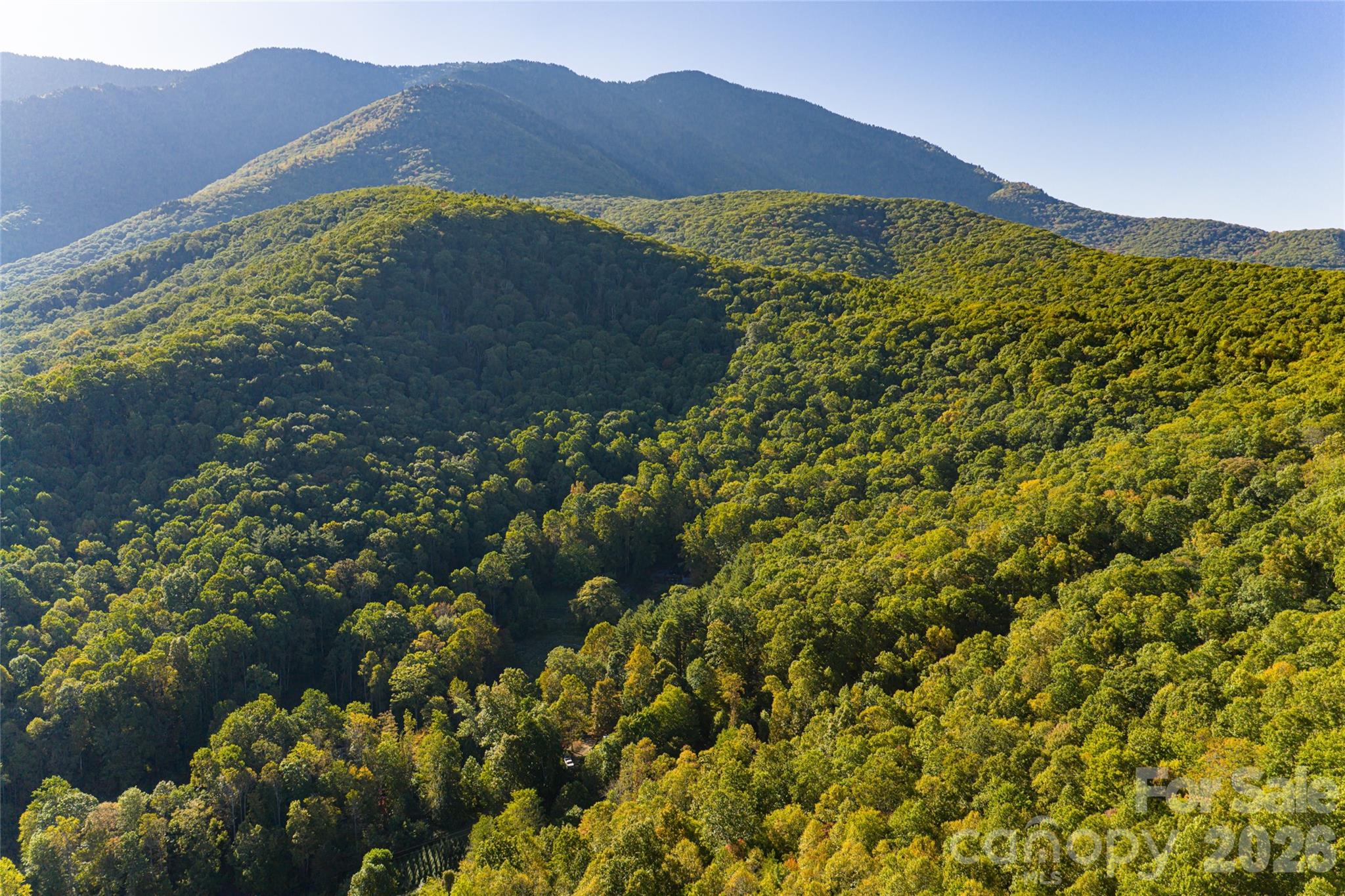 360 Banjo Branch Road Property Photo 9