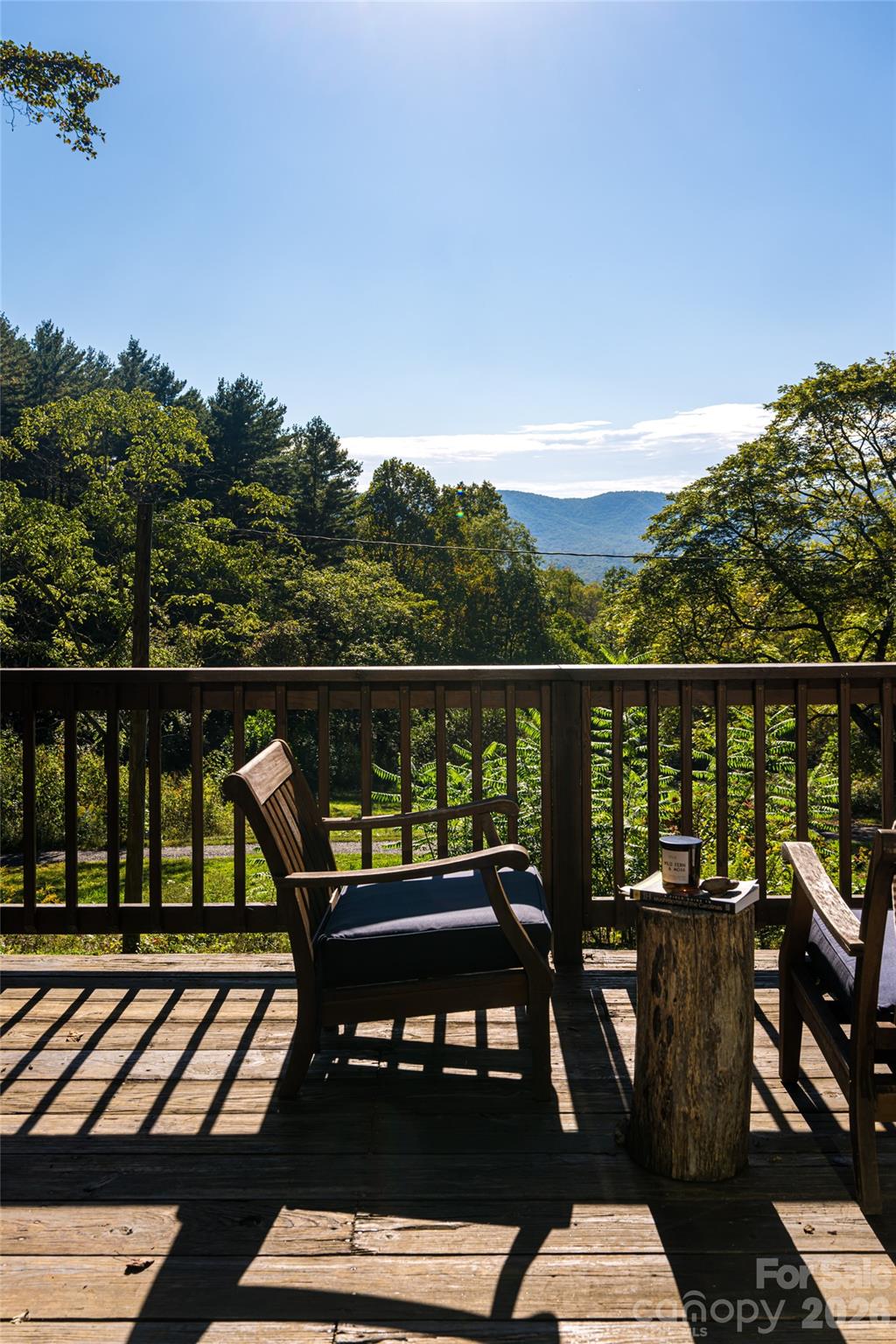360 Banjo Branch Road Property Photo 27