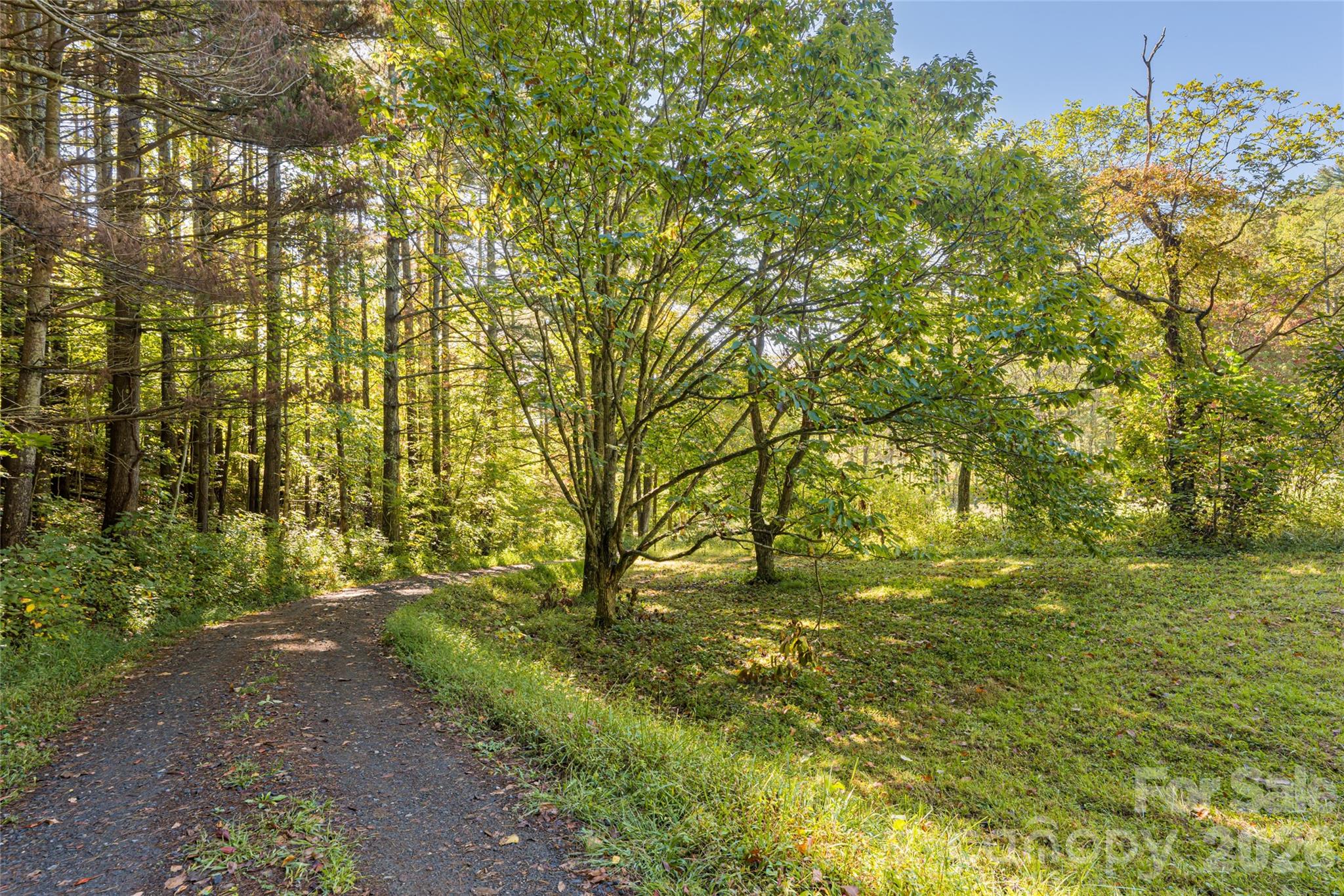 360 Banjo Branch Road Property Photo 37