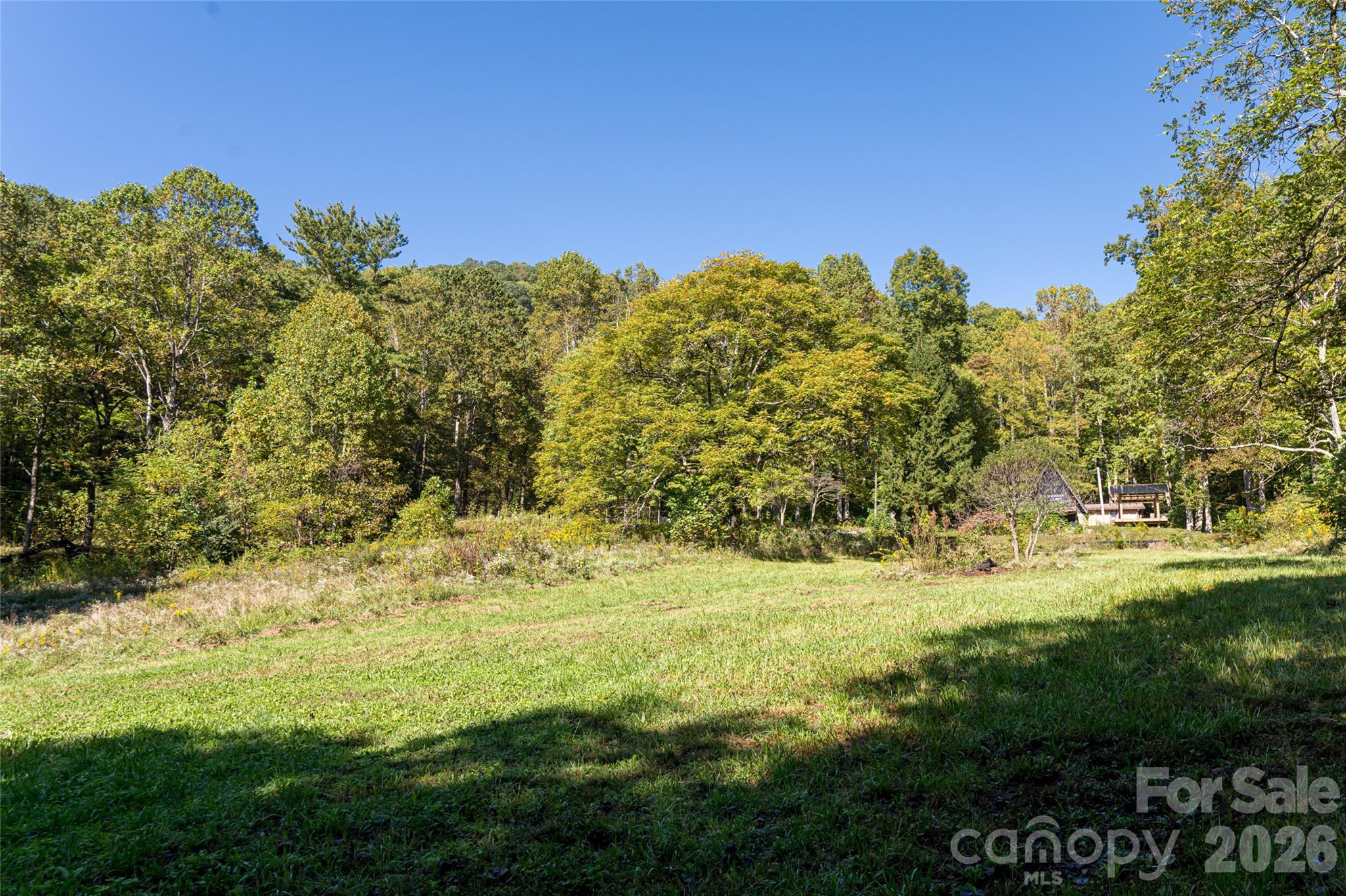 360 Banjo Branch Road Property Photo 38