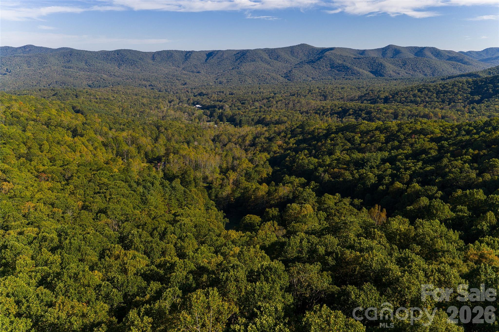 360 Banjo Branch Road Property Photo 46
