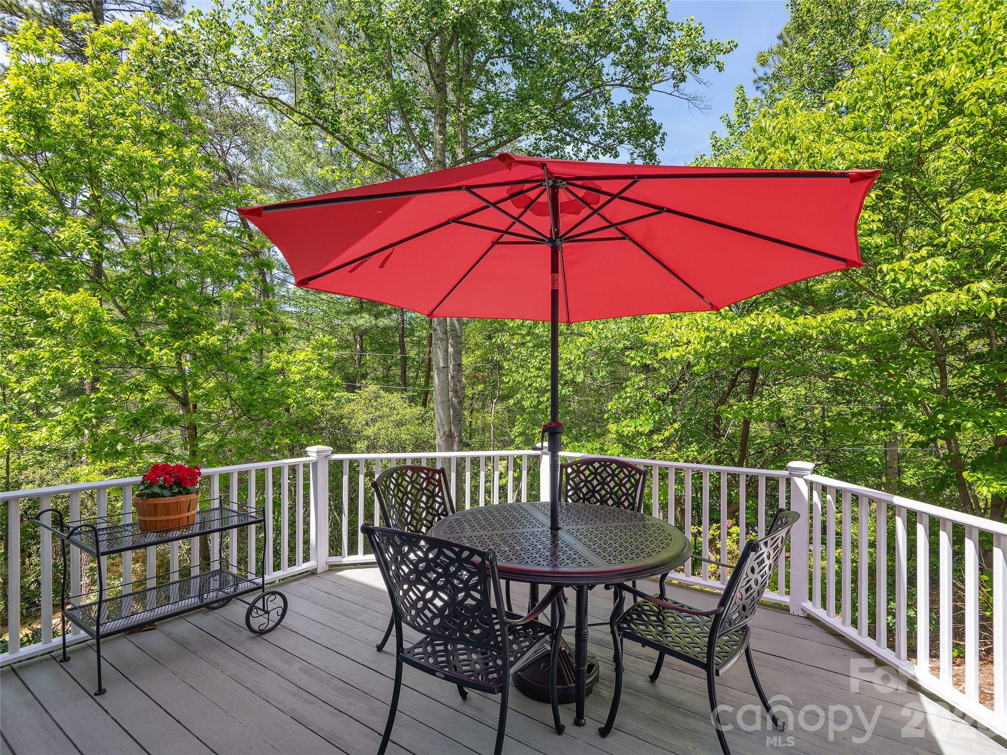 81 Old Gap Creek Road Property Photo 17