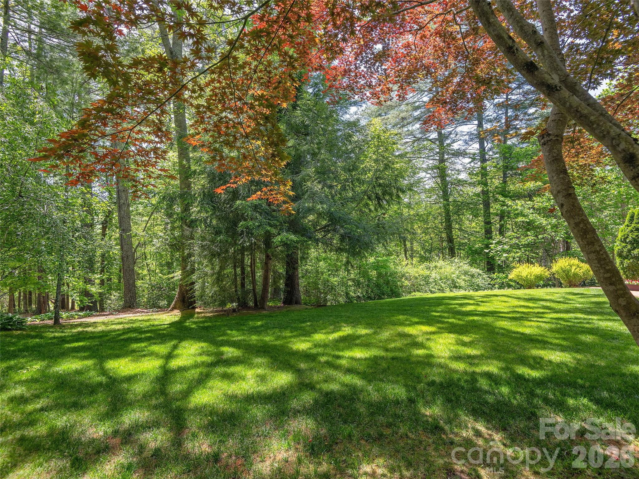 81 Old Gap Creek Road Property Photo 36