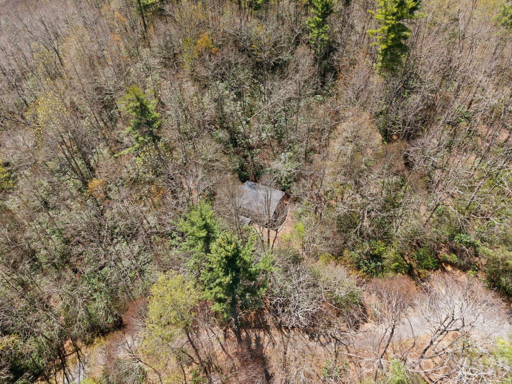 8977 Rose Hollow Avenue Property Photo 21