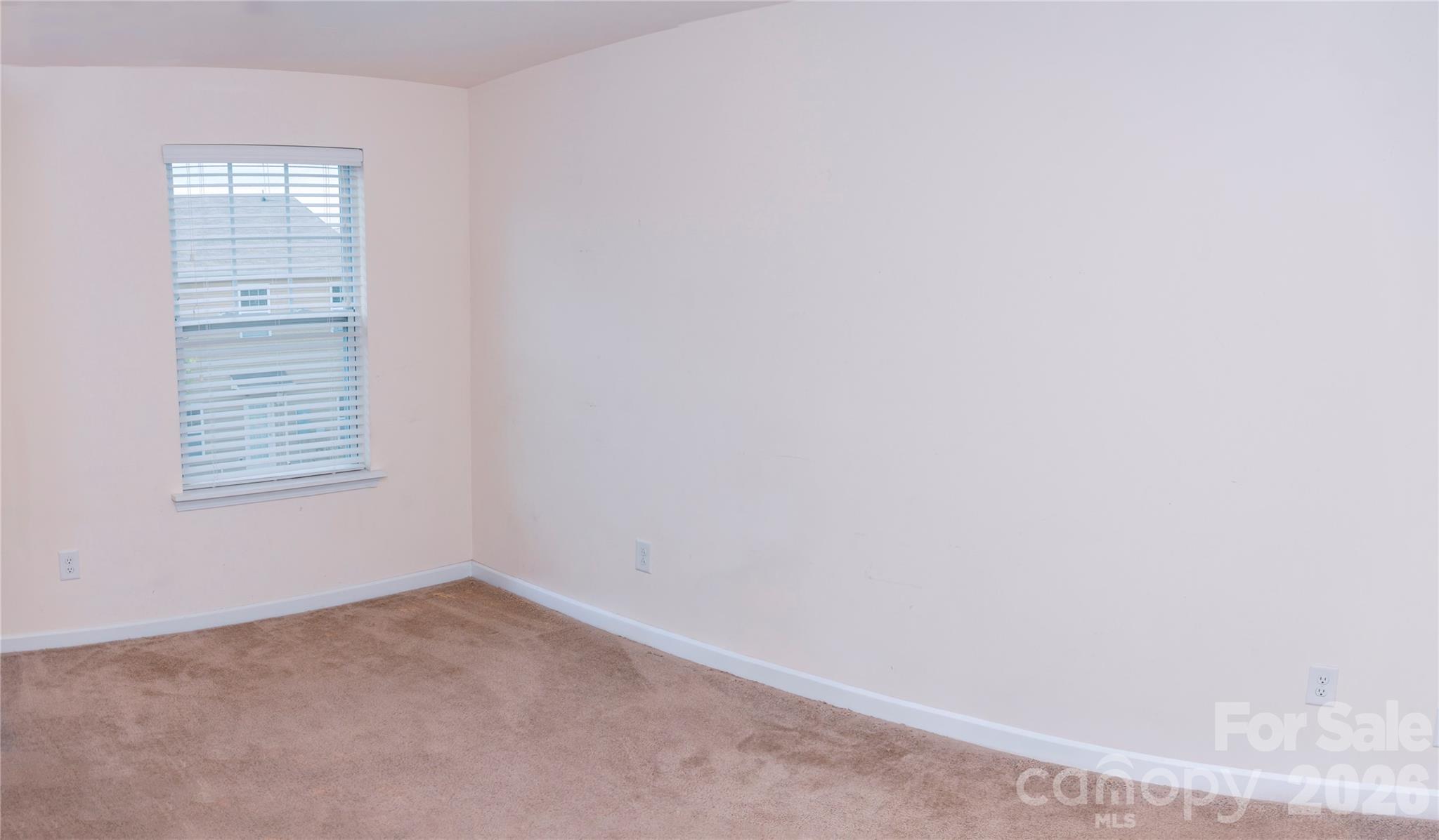 10443 Benfield Road Property Photo 33