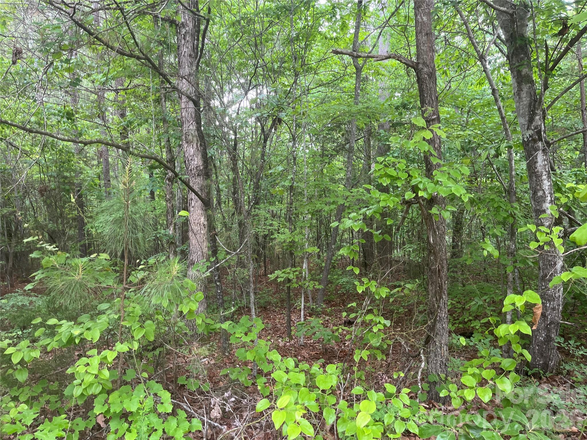 2426 Ore Bank Road Property Photo 1