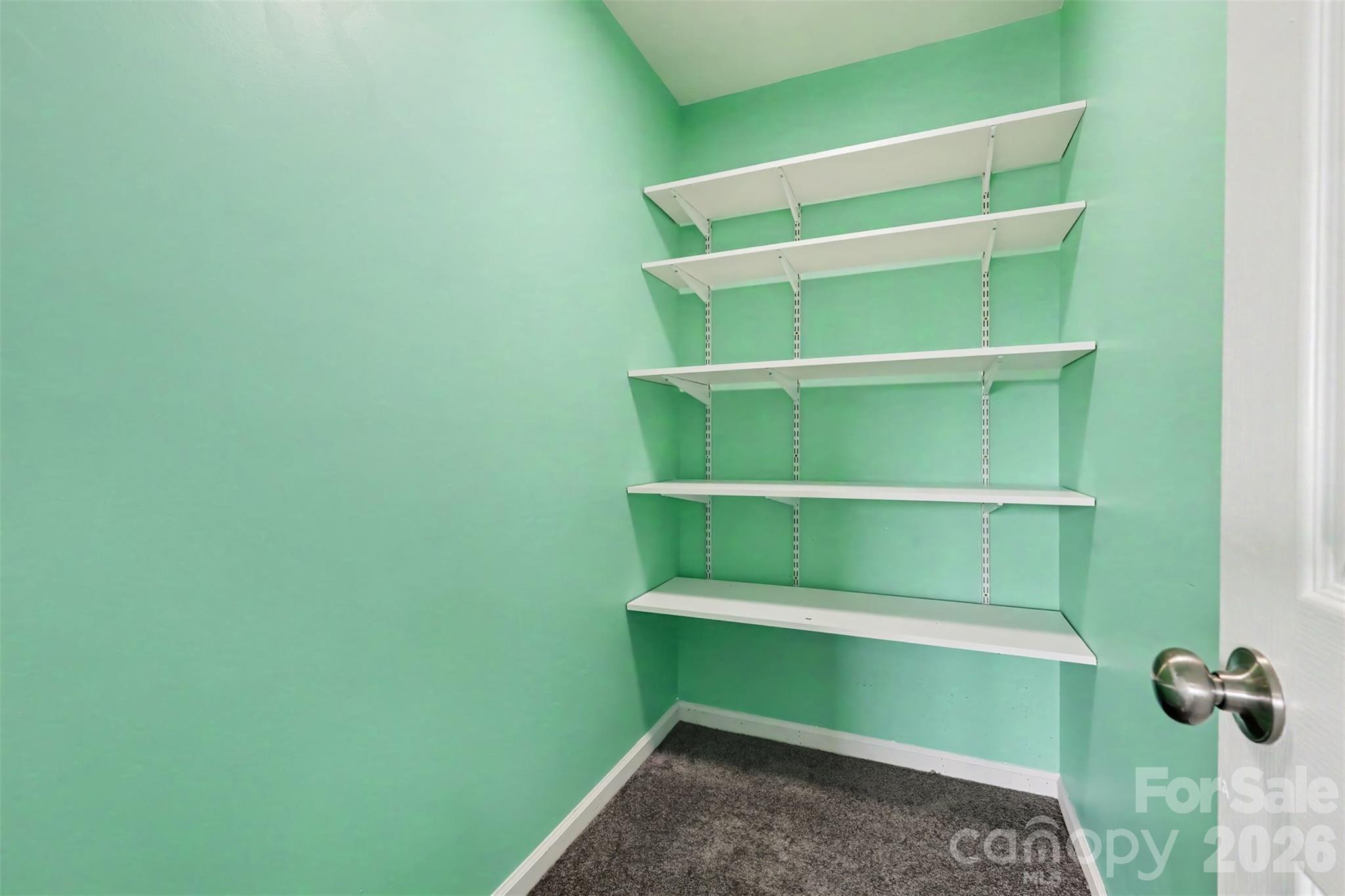 2301 Reid Pointe Avenue Property Photo 20