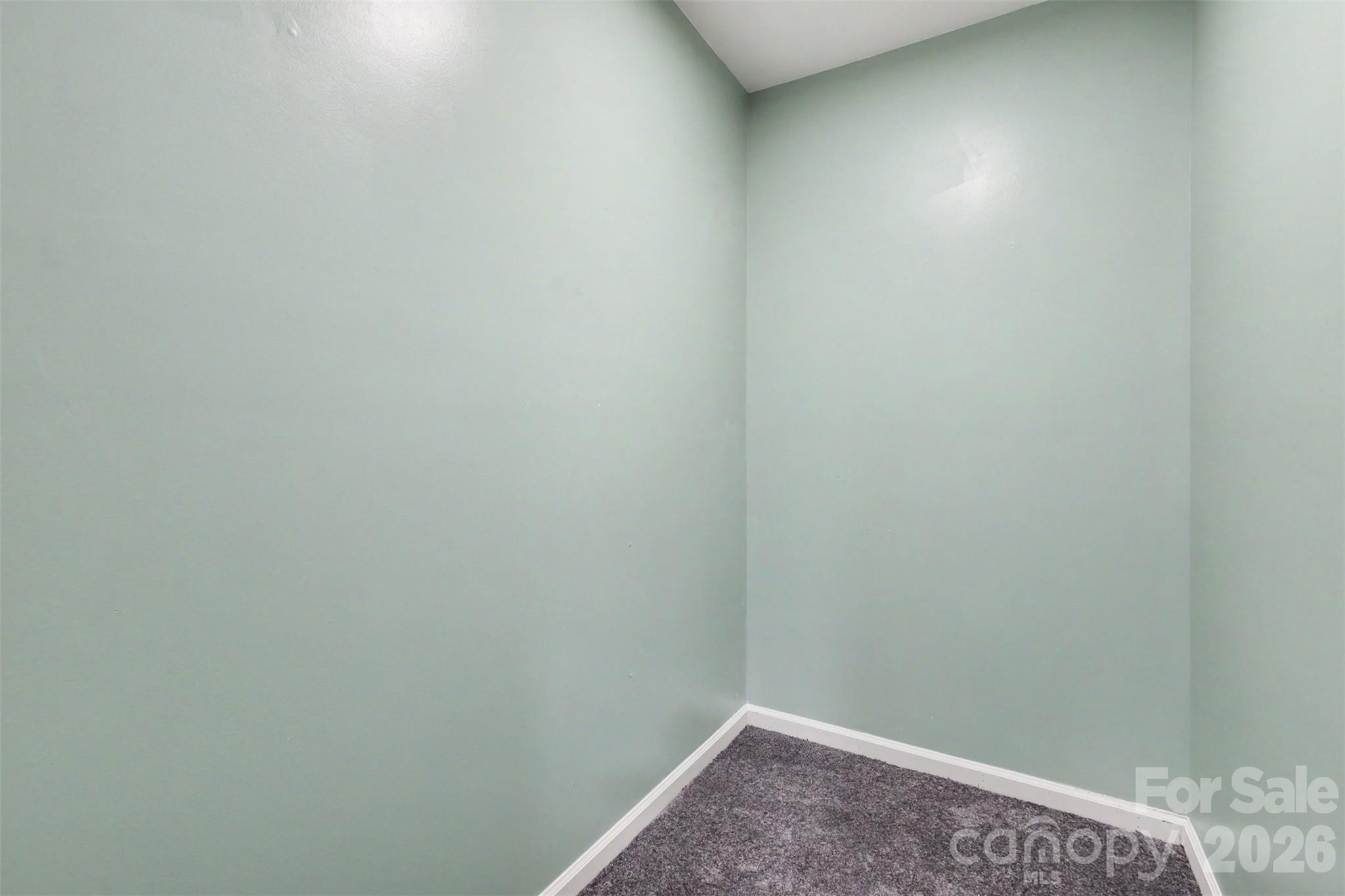 2301 Reid Pointe Avenue Property Photo 26