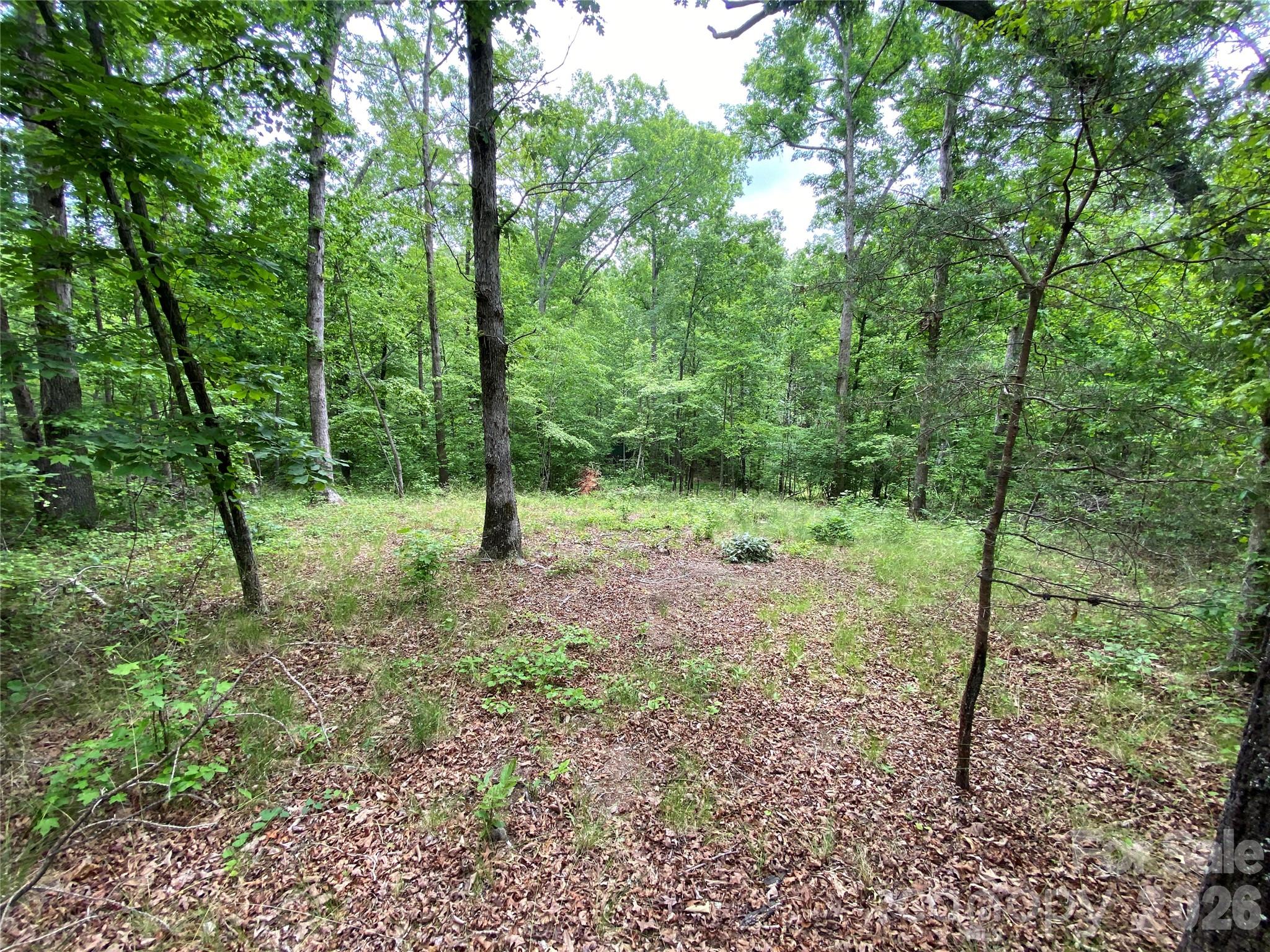 00 Kiser Road Property Photo 2