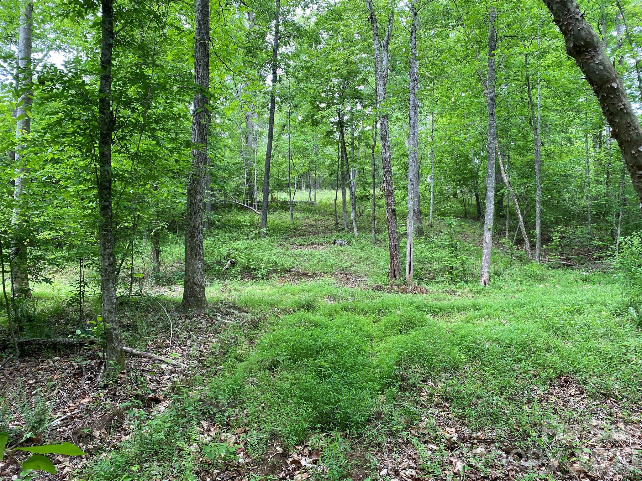 00 Kiser Road Property Photo 3
