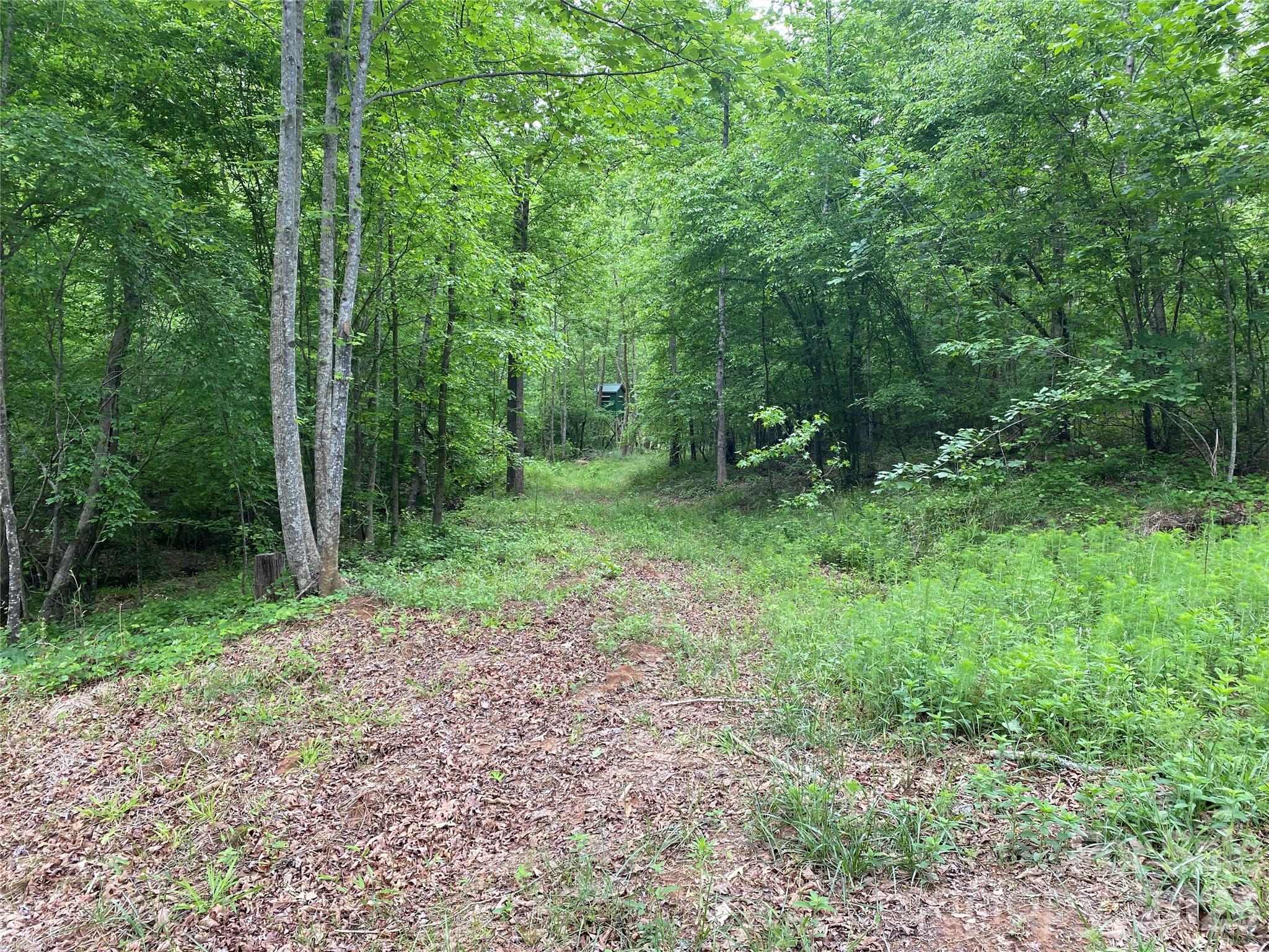 00 Kiser Road Property Photo 5