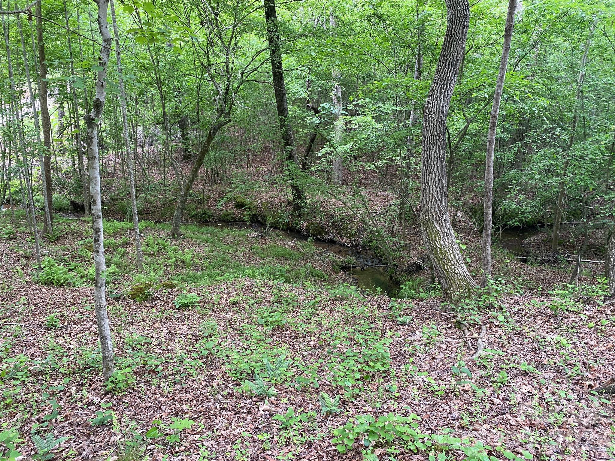 00 Kiser Road Property Photo 6