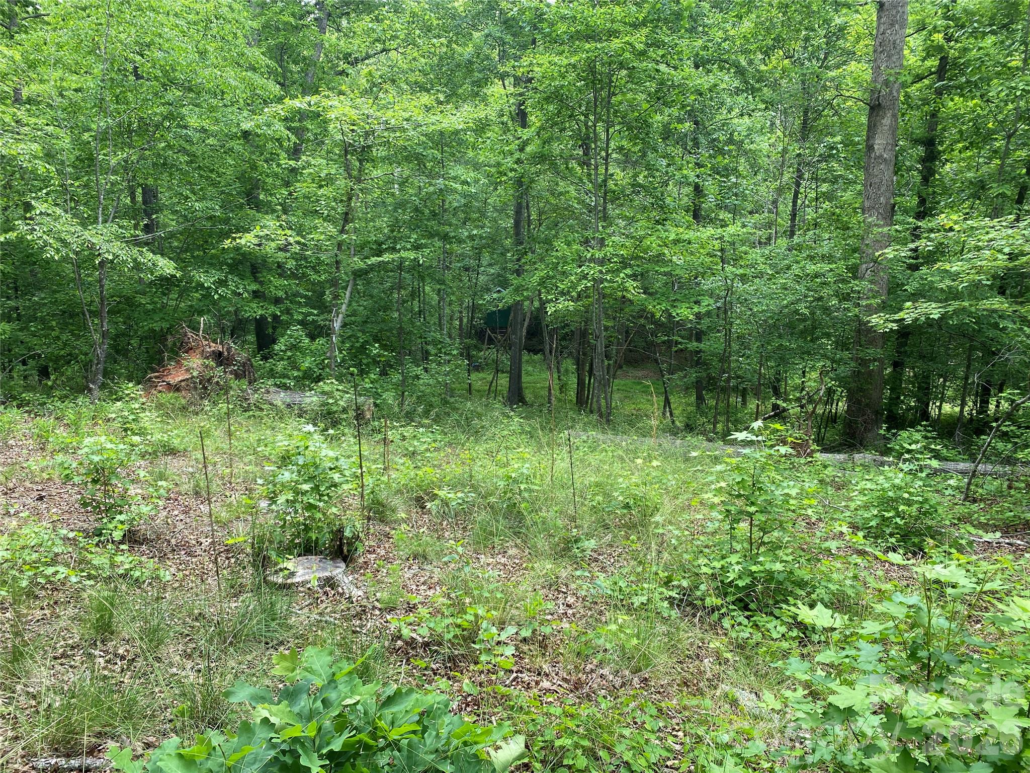 00 Kiser Road Property Photo 11