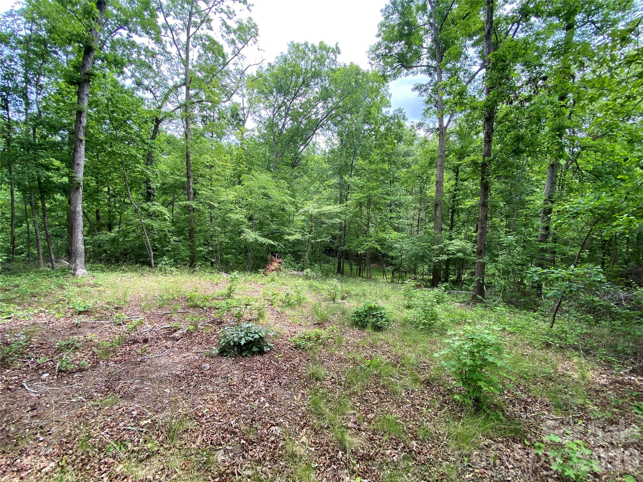 00 Kiser Road Property Photo 12