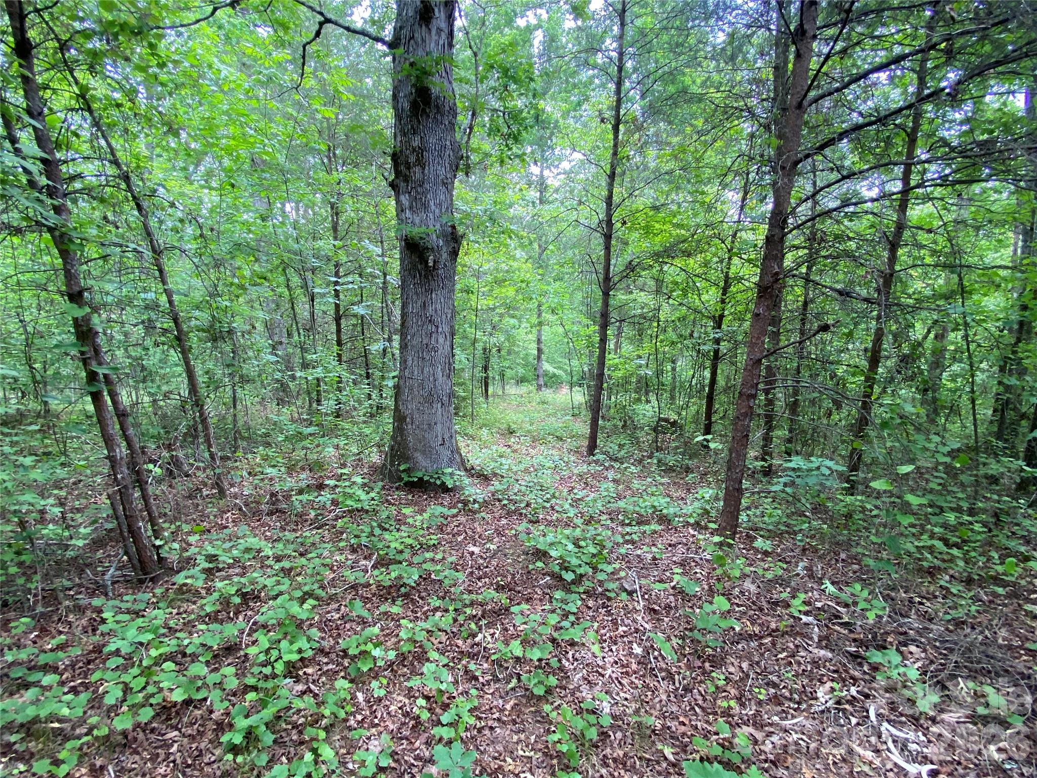 00 Kiser Road Property Photo 13