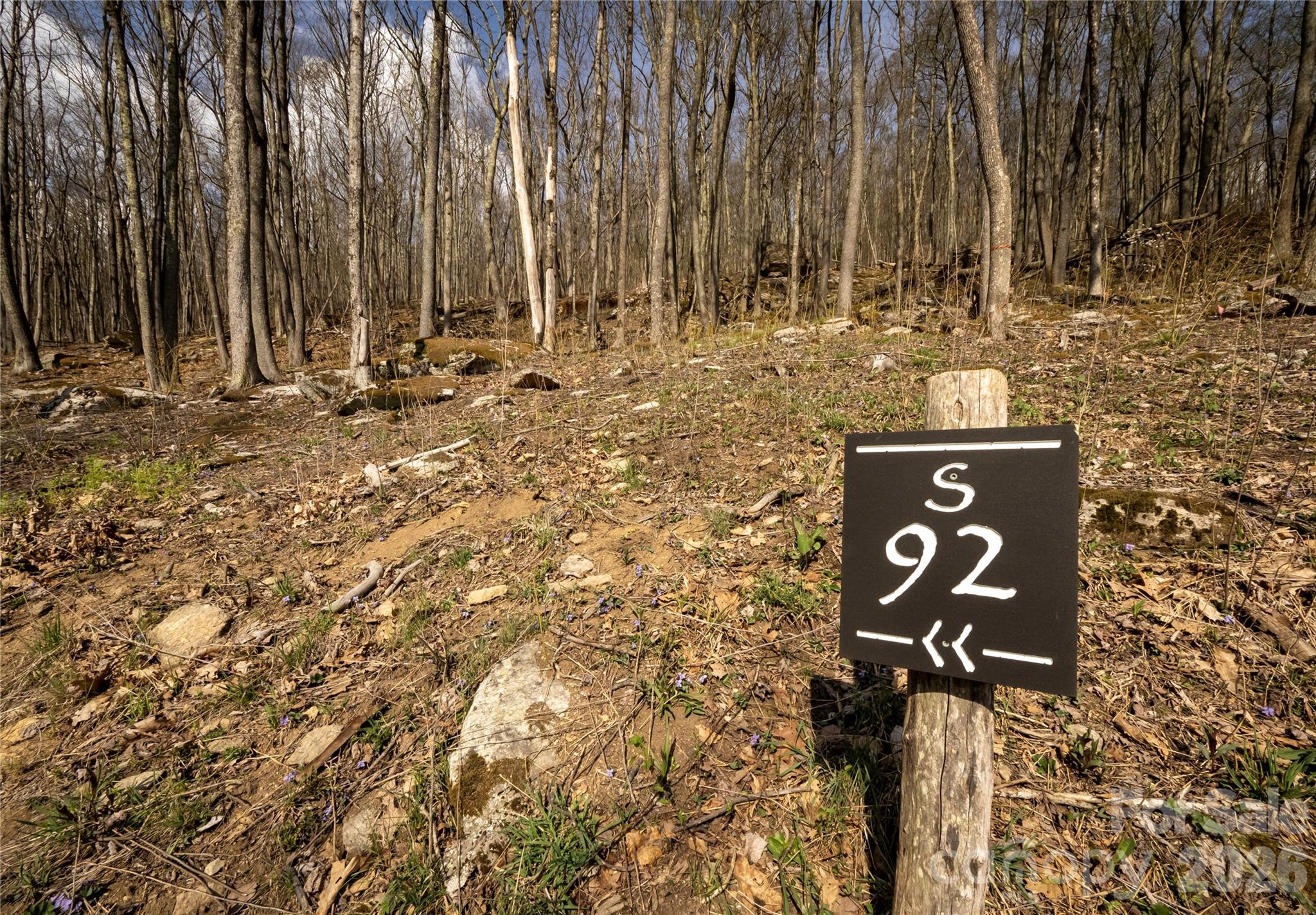 S-92 Talon Trail Property Photo 2