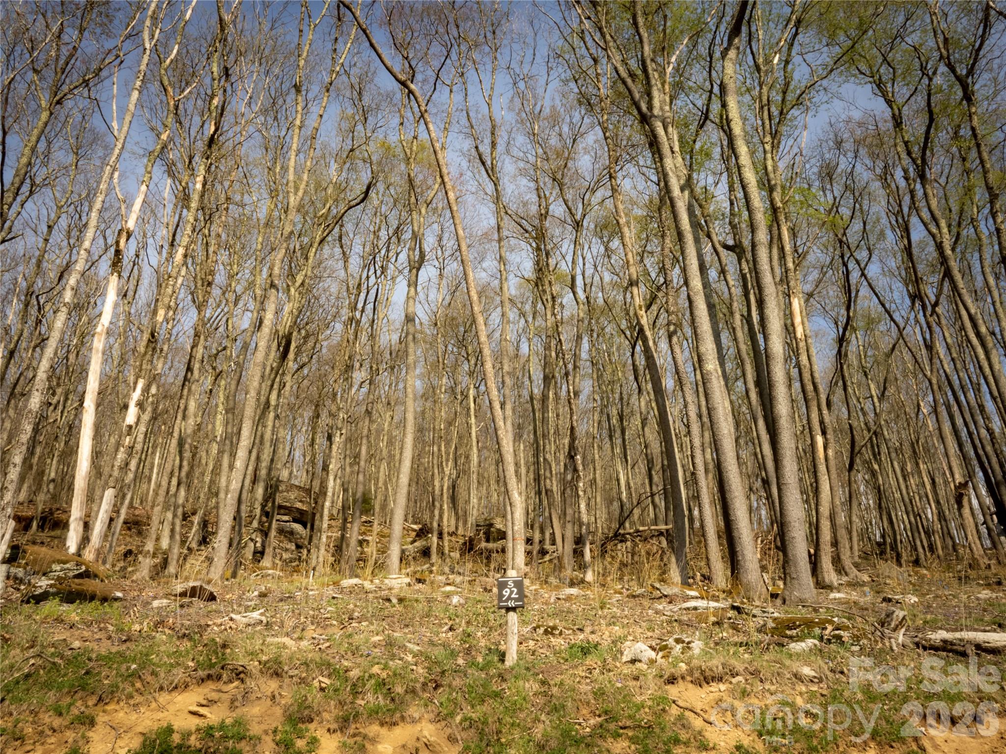 S-92 Talon Trail Property Photo 3