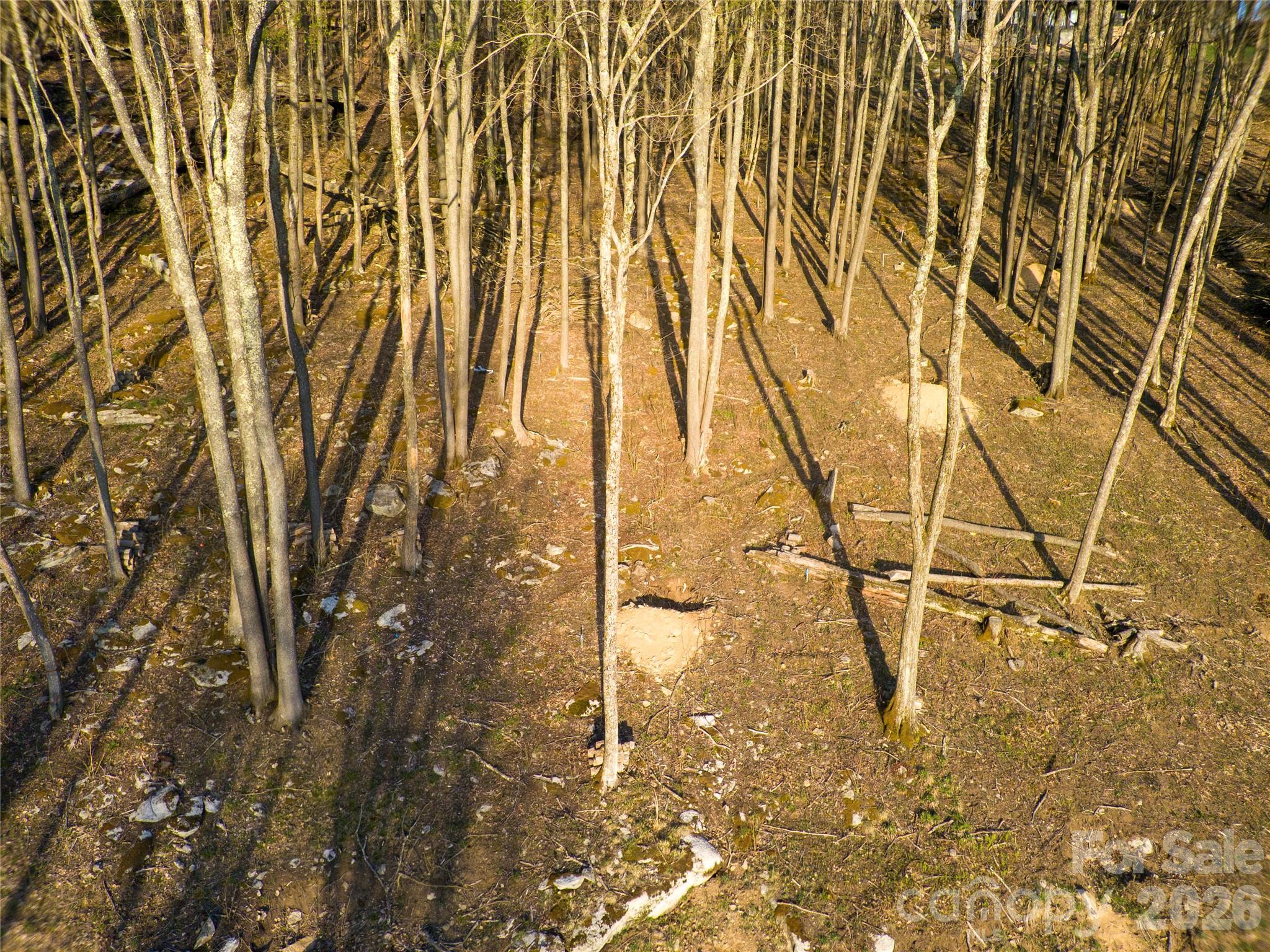 S-92 Talon Trail Property Photo 4
