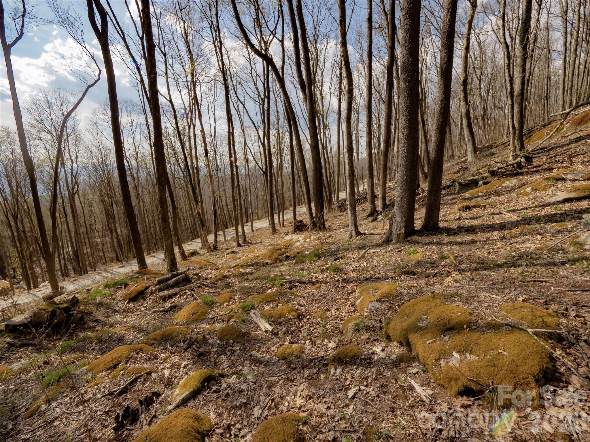 S-92 Talon Trail Property Photo 7