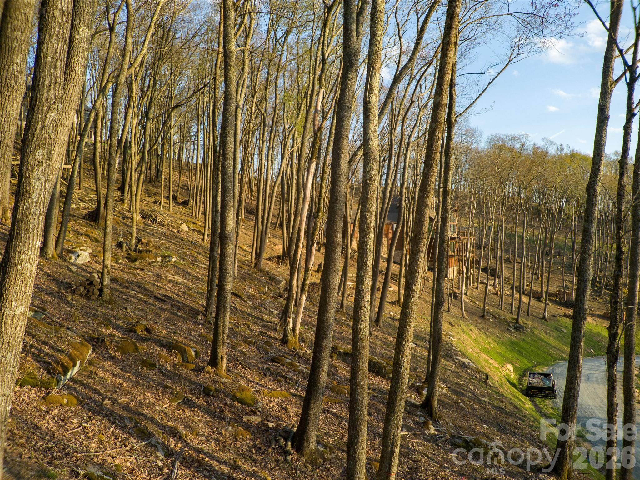 S-92 Talon Trail Property Photo 8