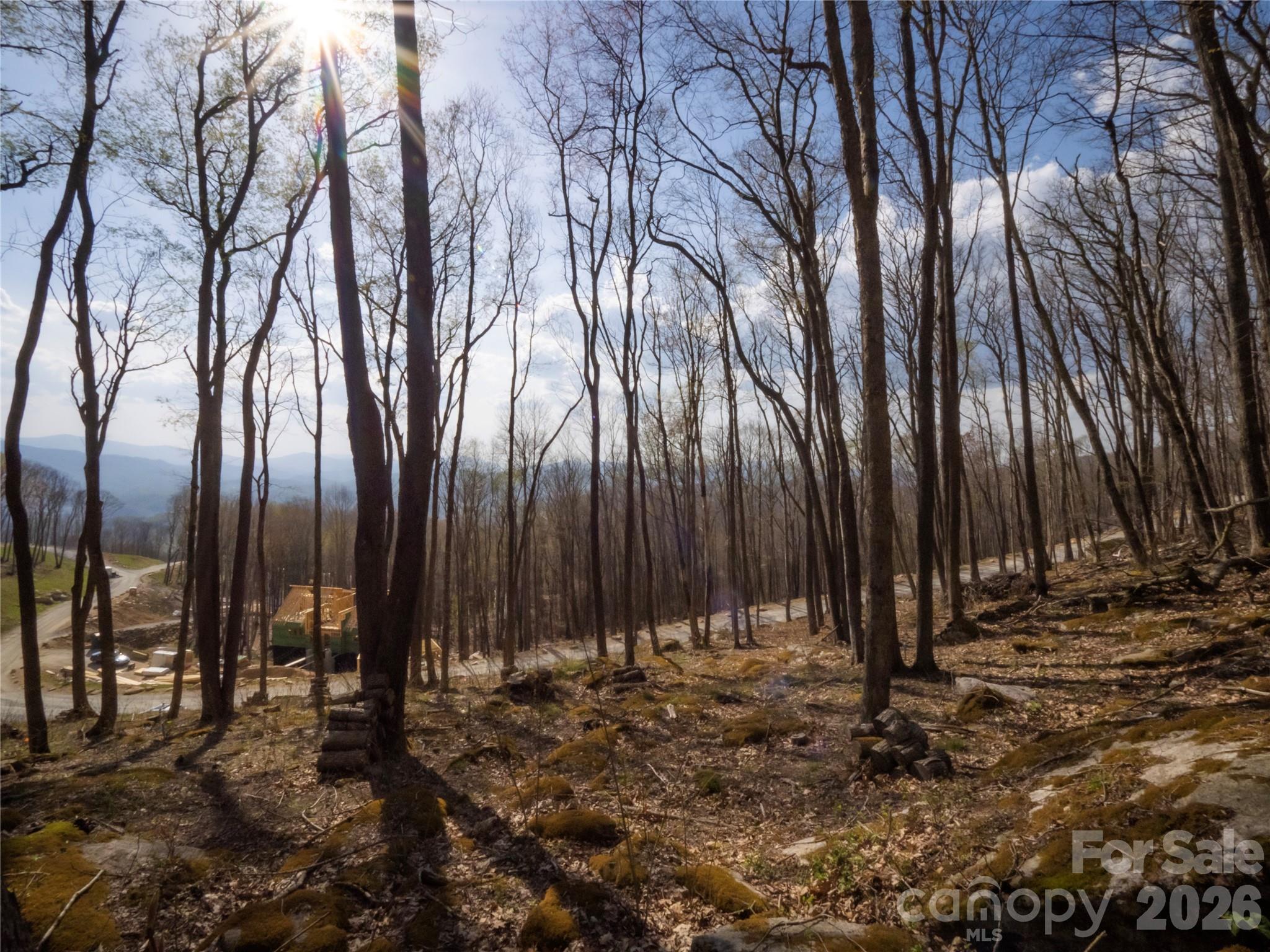 S-92 Talon Trail Property Photo 10
