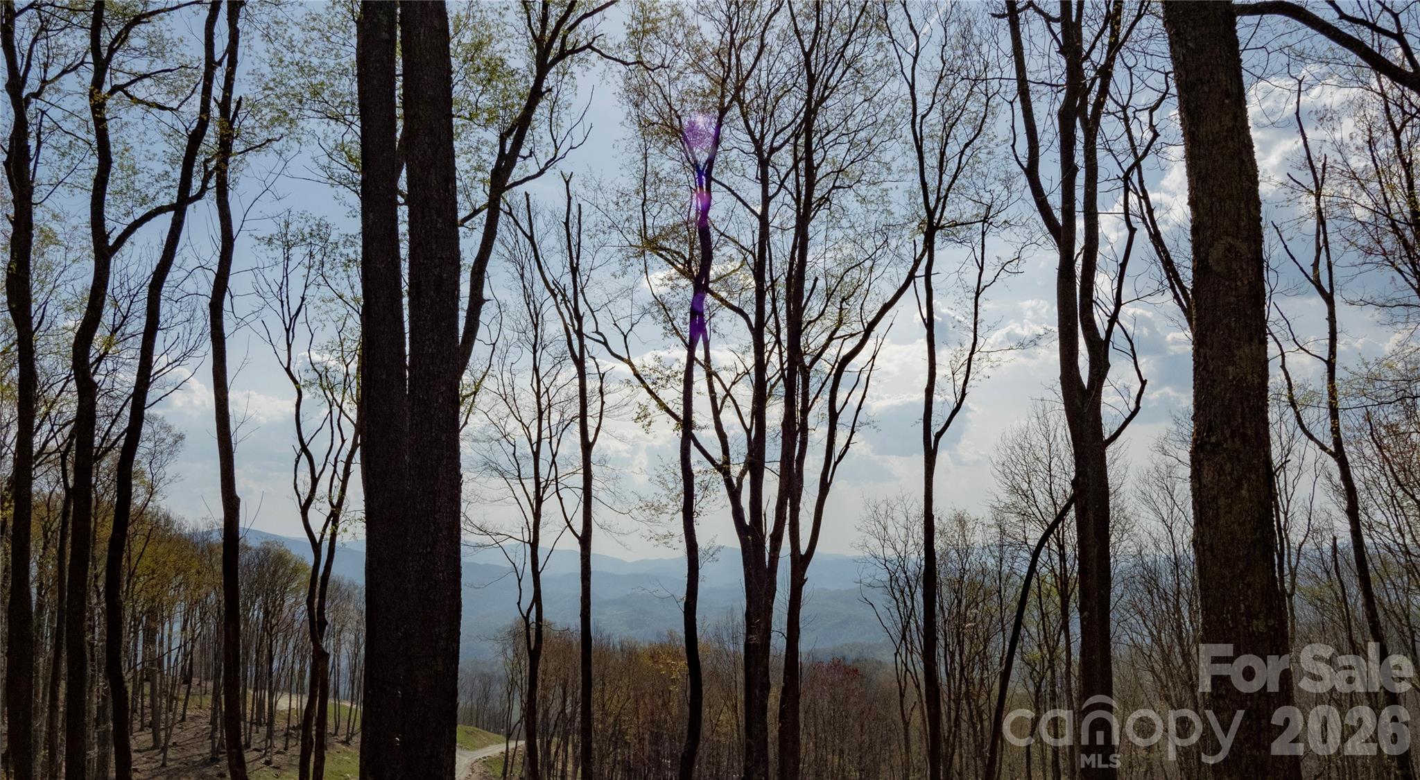 S-92 Talon Trail Property Photo 11